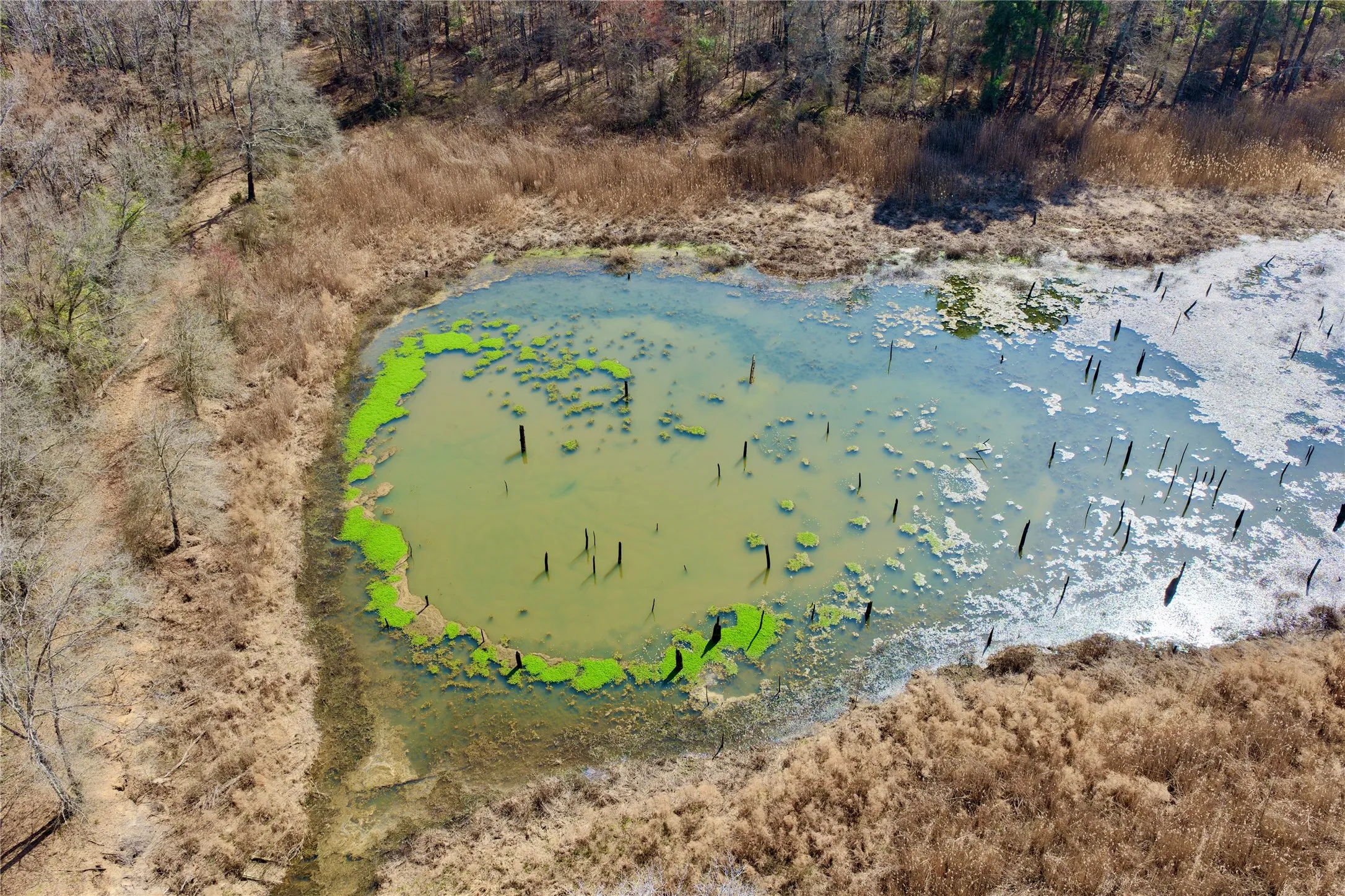 Ranch For Sale in Bowie County , 0000 Stateline Road, Texarkana, Texas 75501, 0, 0, Garage spaces, 0 Sqft, built in 0, mls#21221051, Real Estate Agent in Texarkana, Homes For Sale in Bowie county, Homes For Sale in Texarkana, Realtor in Texarkana Texas, Real Estate Brokerage Independent Realty Texas, Luminita Cordes Realtor