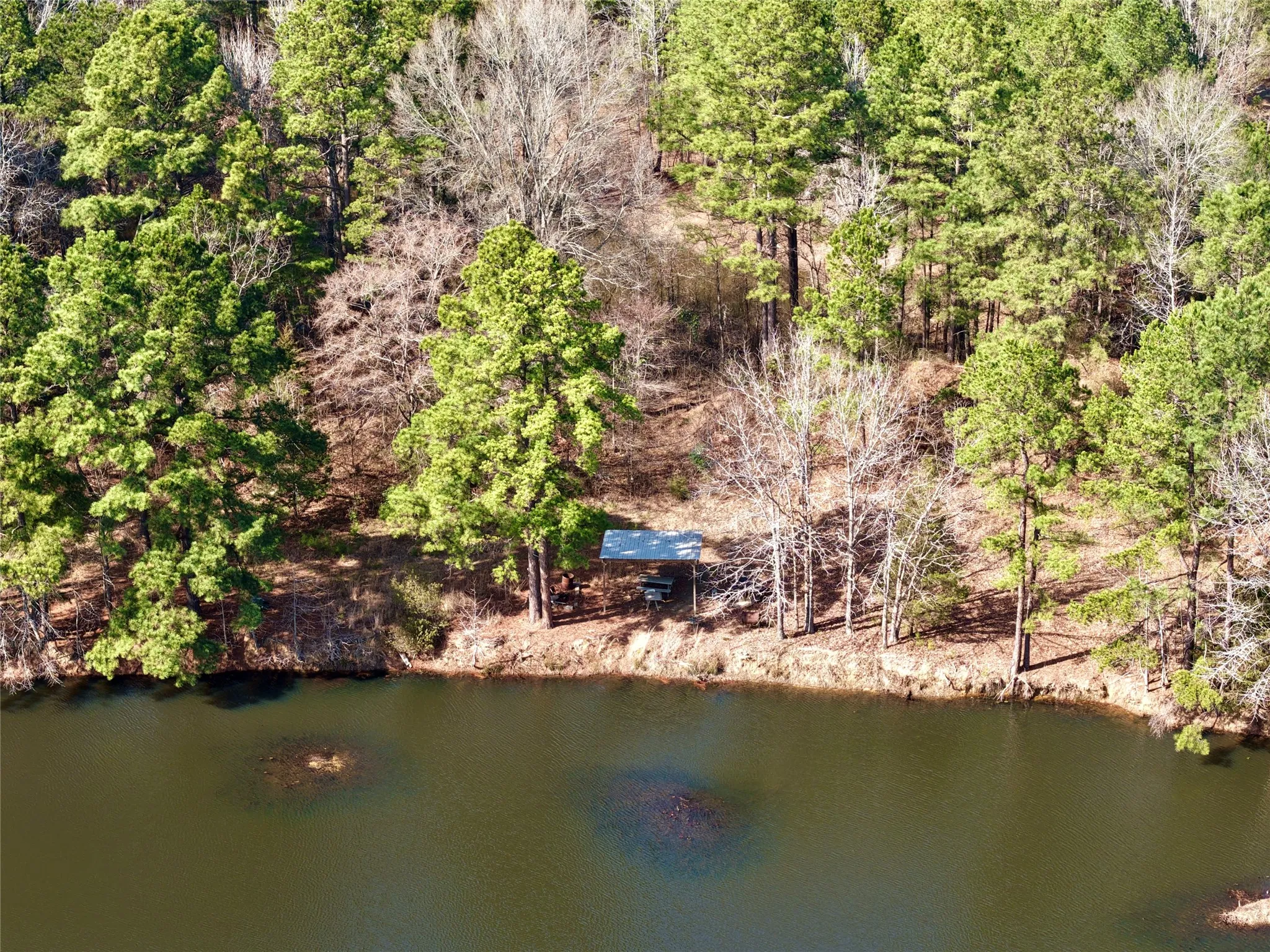 Ranch For Sale in Bowie County , 0000 Stateline Road, Texarkana, Texas 75501, 0, 0, Garage spaces, 0 Sqft, built in 0, mls#21221051, Real Estate Agent in Texarkana, Homes For Sale in Bowie county, Homes For Sale in Texarkana, Realtor in Texarkana Texas, Real Estate Brokerage Independent Realty Texas, Luminita Cordes Realtor