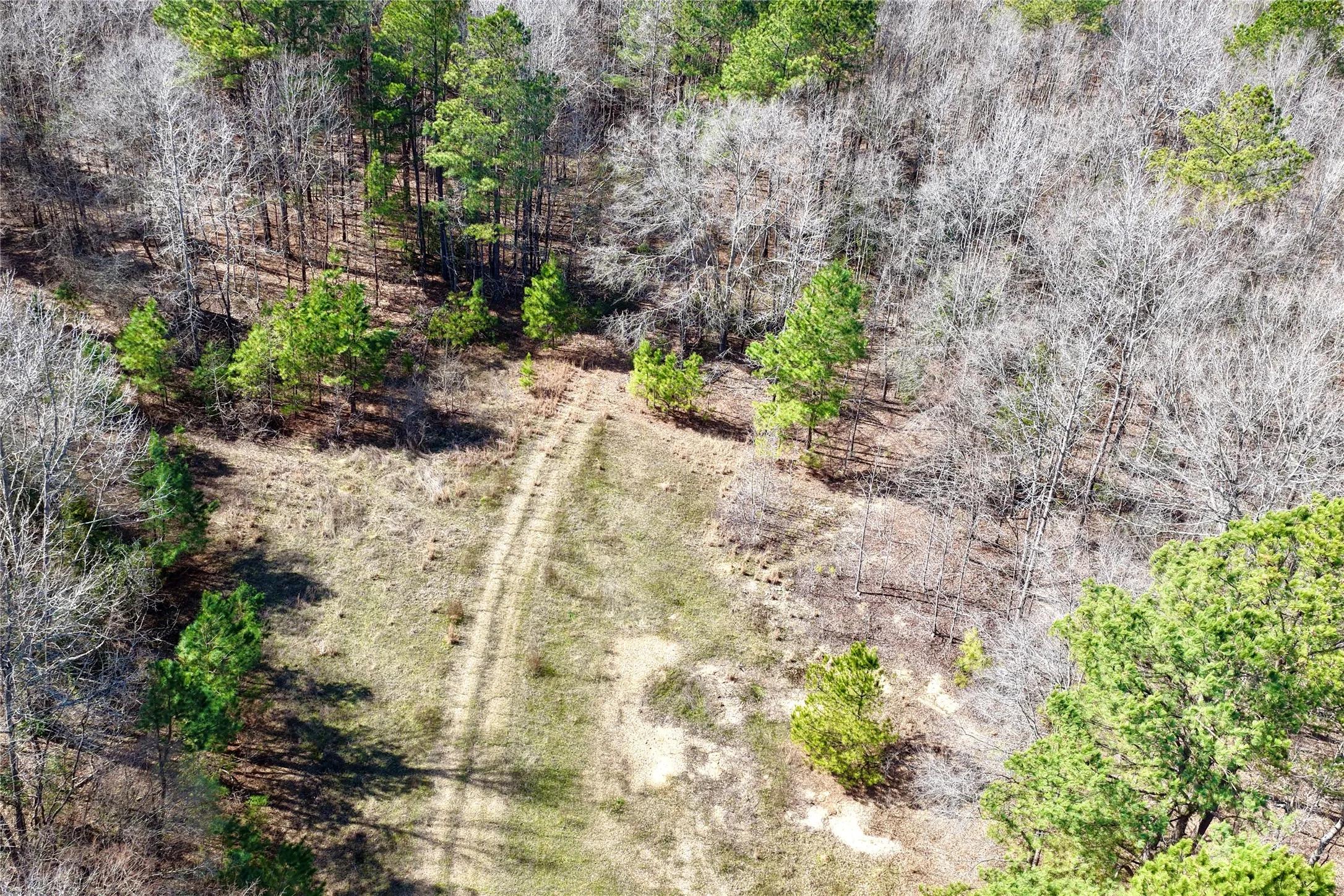 Ranch For Sale in Bowie County , 0000 Stateline Road, Texarkana, Texas 75501, 0, 0, Garage spaces, 0 Sqft, built in 0, mls#21221051, Real Estate Agent in Texarkana, Homes For Sale in Bowie county, Homes For Sale in Texarkana, Realtor in Texarkana Texas, Real Estate Brokerage Independent Realty Texas, Luminita Cordes Realtor