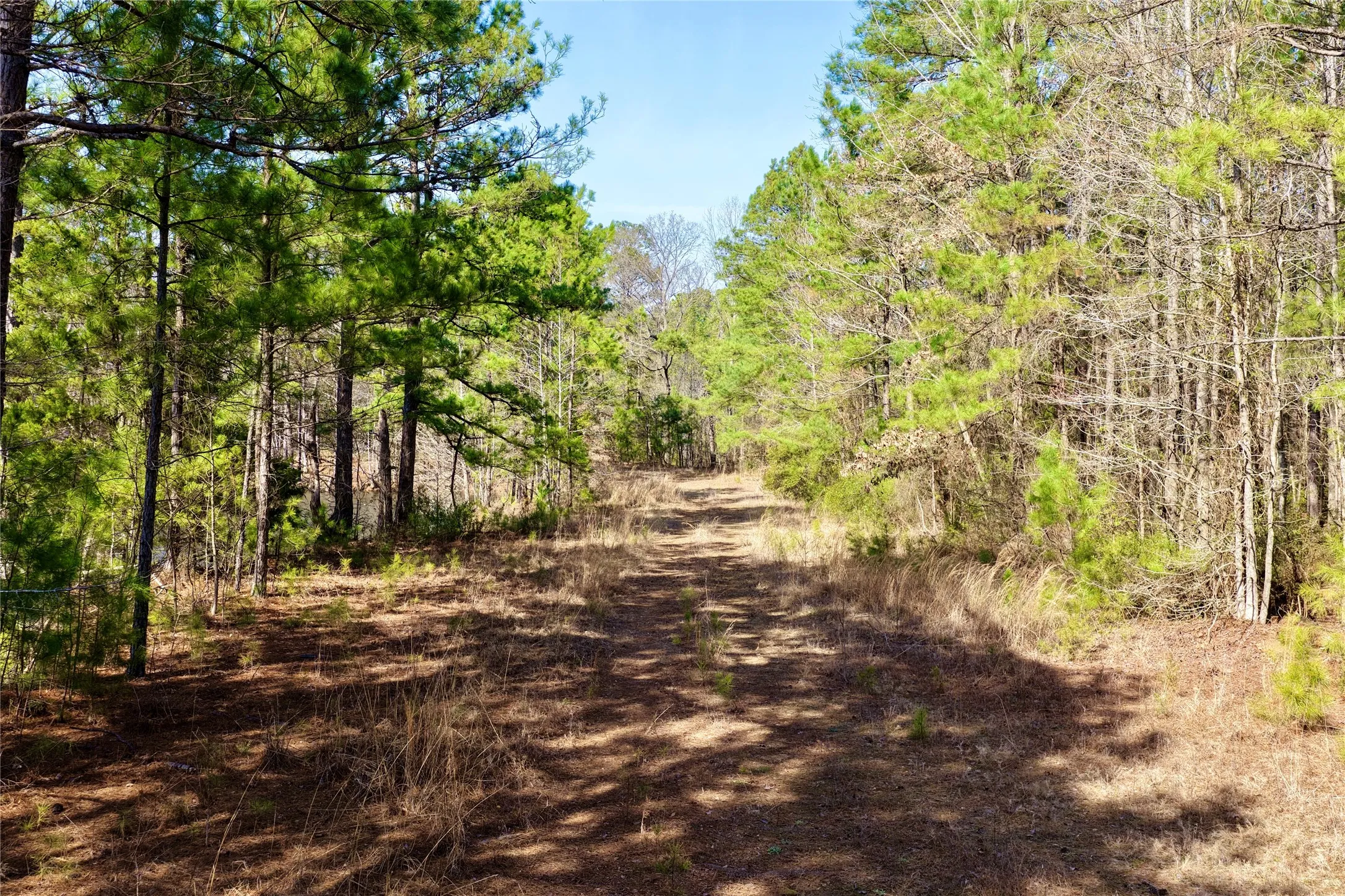 Ranch For Sale in Bowie County , 0000 Stateline Road, Texarkana, Texas 75501, 0, 0, Garage spaces, 0 Sqft, built in 0, mls#21221051, Real Estate Agent in Texarkana, Homes For Sale in Bowie county, Homes For Sale in Texarkana, Realtor in Texarkana Texas, Real Estate Brokerage Independent Realty Texas, Luminita Cordes Realtor