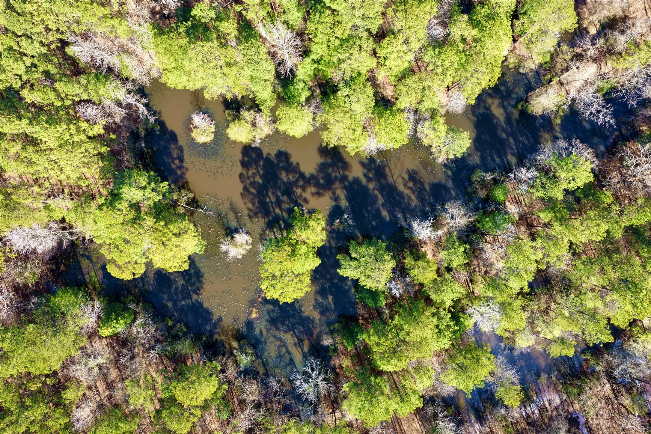 Ranch For Sale in Bowie County , 0000 Stateline Road, Texarkana, Texas 75501, 0, 0, Garage spaces, 0 Sqft, built in 0, mls#21221051, Real Estate Agent in Texarkana, Homes For Sale in Bowie county, Homes For Sale in Texarkana, Realtor in Texarkana Texas, Real Estate Brokerage Independent Realty Texas, Luminita Cordes Realtor