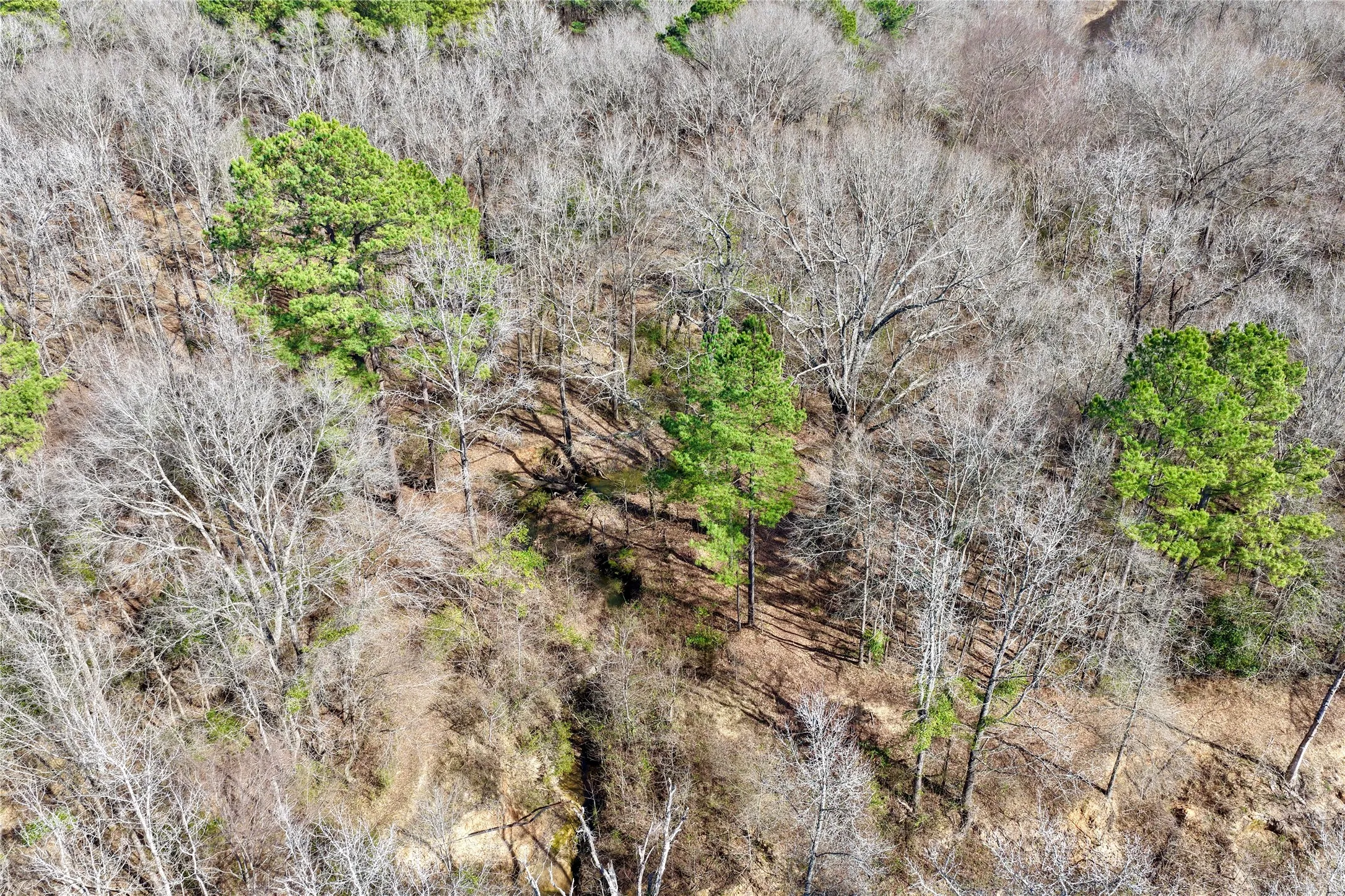 Ranch For Sale in Bowie County , 0000 Stateline Road, Texarkana, Texas 75501, 0, 0, Garage spaces, 0 Sqft, built in 0, mls#21221051, Real Estate Agent in Texarkana, Homes For Sale in Bowie county, Homes For Sale in Texarkana, Realtor in Texarkana Texas, Real Estate Brokerage Independent Realty Texas, Luminita Cordes Realtor
