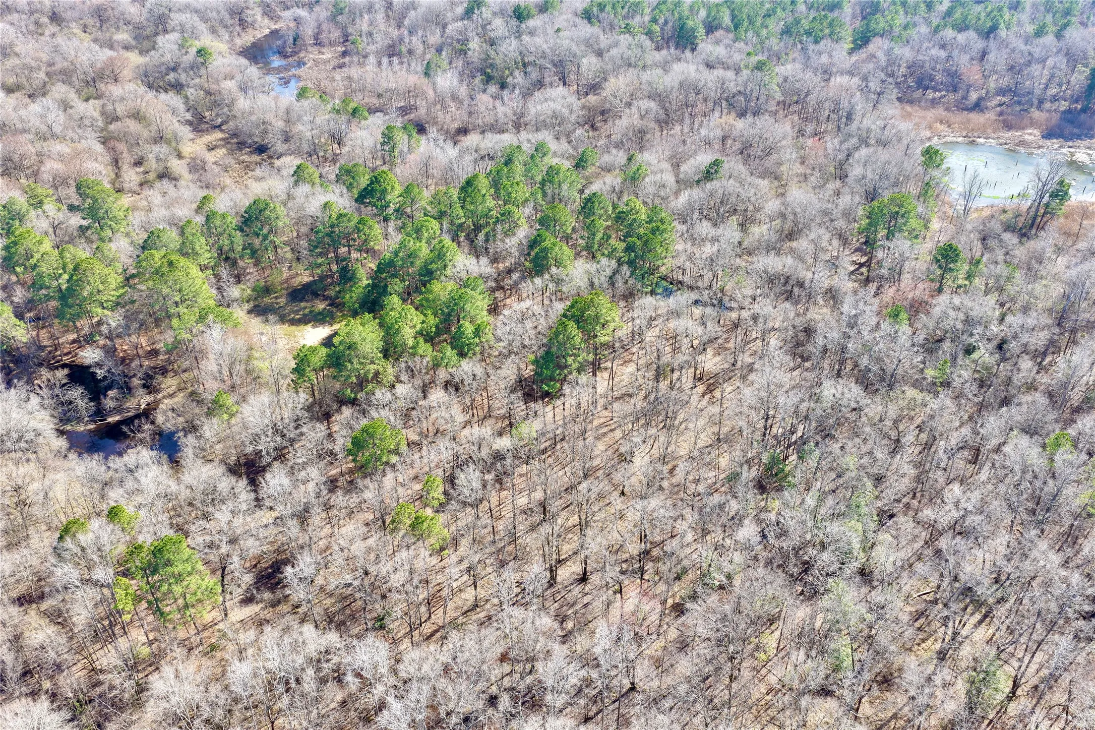 Ranch For Sale in Bowie County , 0000 Stateline Road, Texarkana, Texas 75501, 0, 0, Garage spaces, 0 Sqft, built in 0, mls#21221051, Real Estate Agent in Texarkana, Homes For Sale in Bowie county, Homes For Sale in Texarkana, Realtor in Texarkana Texas, Real Estate Brokerage Independent Realty Texas, Luminita Cordes Realtor