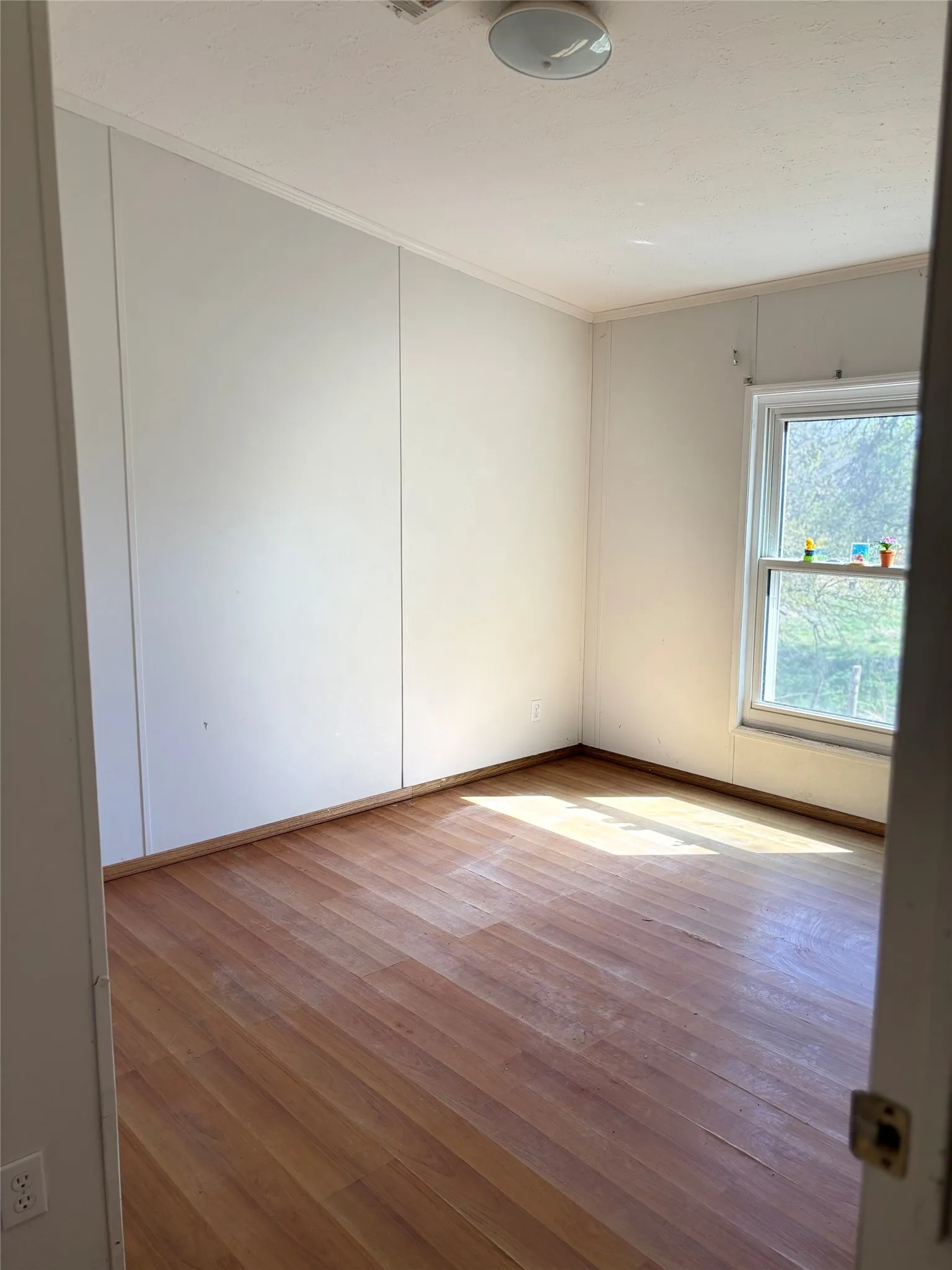 Unfurnished room featuring light wood-type flooring, a decorative wall, and crown molding