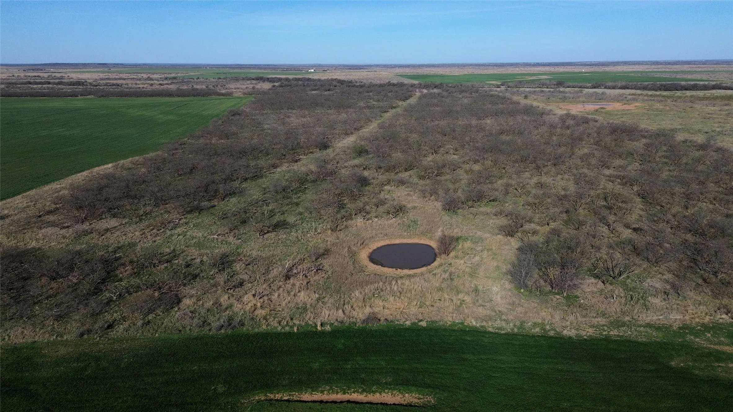 Ranch For Sale in Archer County , 0 Knox County Road, Archer City, Texas 76351, 0, 0, Garage spaces, 0 Sqft, built in 0, Price $592,000, mls#21221175, Real Estate Agent in Archer City, Homes For Sale in Archer county, Homes For Sale in Archer City, Realtor in Archer City Texas, Real Estate Brokerage Independent Realty Texas, Luminita Cordes Realtor