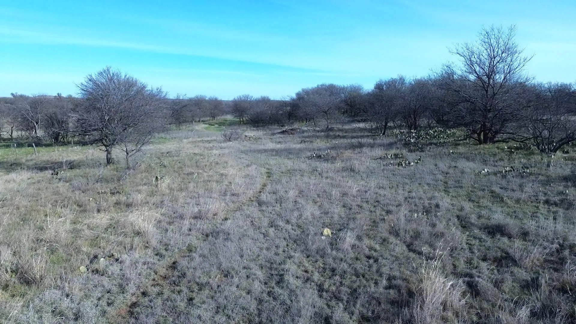 Ranch For Sale in Archer County , 0 Knox County Road, Archer City, Texas 76351, 0, 0, Garage spaces, 0 Sqft, built in 0, Price $592,000, mls#21221175, Real Estate Agent in Archer City, Homes For Sale in Archer county, Homes For Sale in Archer City, Realtor in Archer City Texas, Real Estate Brokerage Independent Realty Texas, Luminita Cordes Realtor