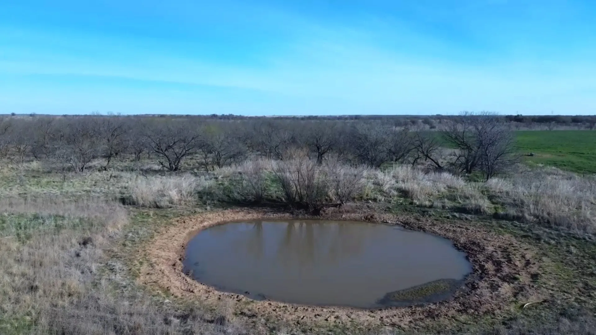 Ranch For Sale in Archer County , 0 Knox County Road, Archer City, Texas 76351, 0, 0, Garage spaces, 0 Sqft, built in 0, Price $592,000, mls#21221175, Real Estate Agent in Archer City, Homes For Sale in Archer county, Homes For Sale in Archer City, Realtor in Archer City Texas, Real Estate Brokerage Independent Realty Texas, Luminita Cordes Realtor