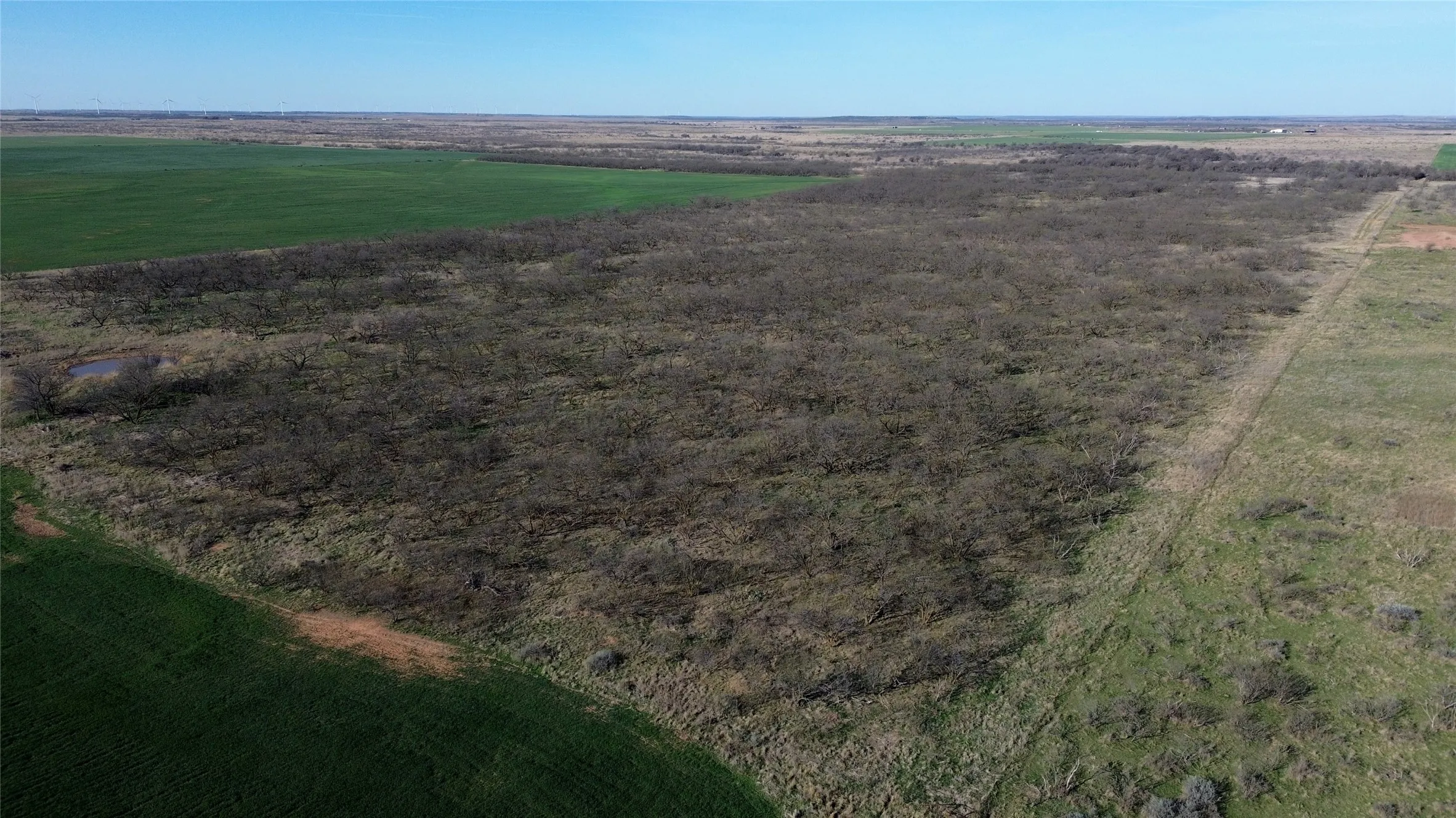 Ranch For Sale in Archer County , 0 Knox County Road, Archer City, Texas 76351, 0, 0, Garage spaces, 0 Sqft, built in 0, Price $592,000, mls#21221175, Real Estate Agent in Archer City, Homes For Sale in Archer county, Homes For Sale in Archer City, Realtor in Archer City Texas, Real Estate Brokerage Independent Realty Texas, Luminita Cordes Realtor