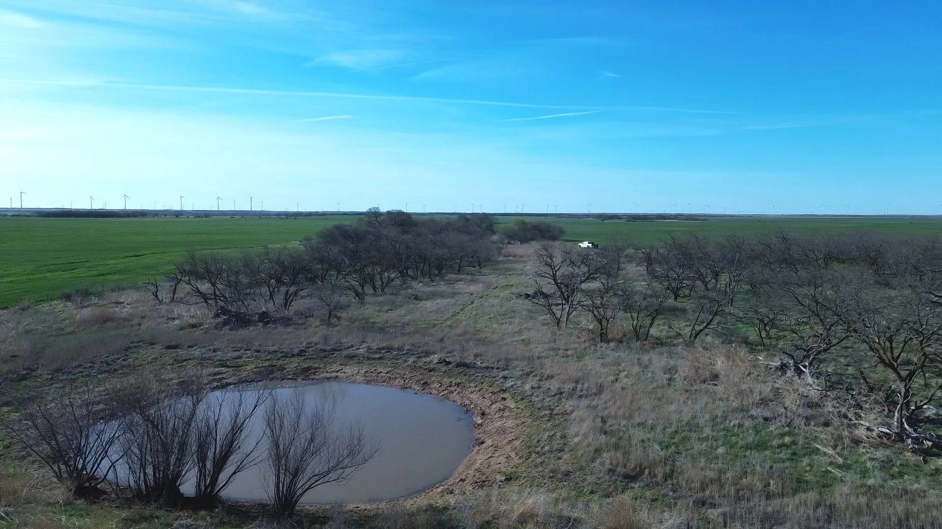 Ranch For Sale in Archer County , 0 Knox County Road, Archer City, Texas 76351, 0, 0, Garage spaces, 0 Sqft, built in 0, Price $592,000, mls#21221175, Real Estate Agent in Archer City, Homes For Sale in Archer county, Homes For Sale in Archer City, Realtor in Archer City Texas, Real Estate Brokerage Independent Realty Texas, Luminita Cordes Realtor