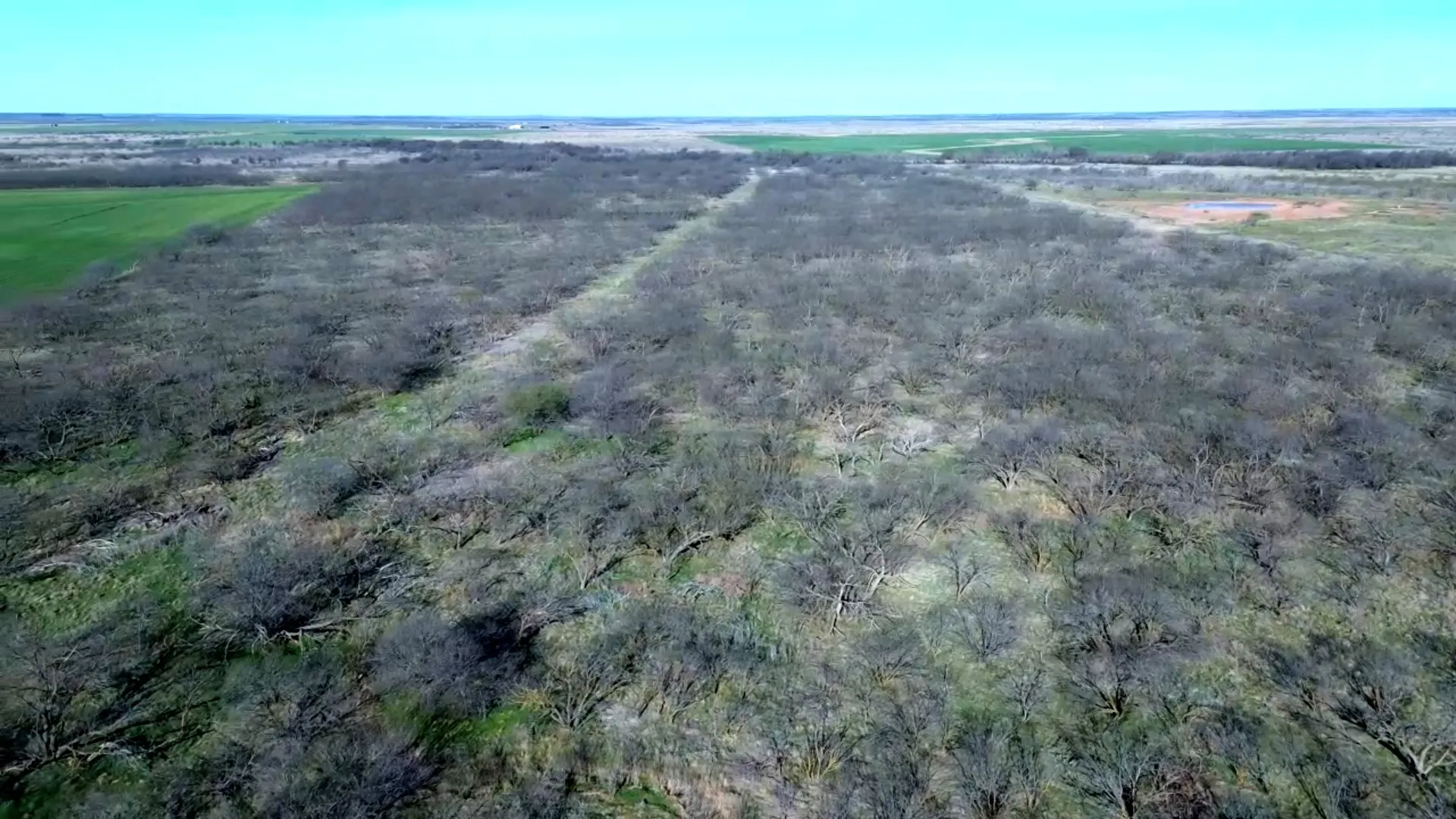Ranch For Sale in Archer County , 0 Knox County Road, Archer City, Texas 76351, 0, 0, Garage spaces, 0 Sqft, built in 0, Price $592,000, mls#21221175, Real Estate Agent in Archer City, Homes For Sale in Archer county, Homes For Sale in Archer City, Realtor in Archer City Texas, Real Estate Brokerage Independent Realty Texas, Luminita Cordes Realtor