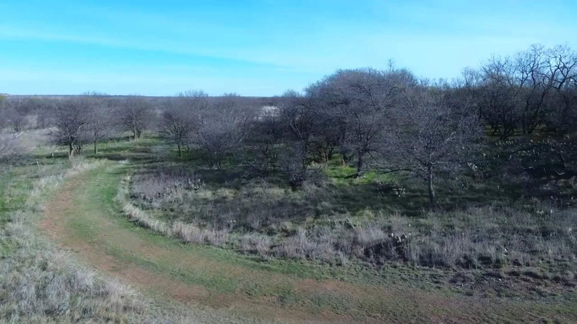 Ranch For Sale in Archer County , 0 Knox County Road, Archer City, Texas 76351, 0, 0, Garage spaces, 0 Sqft, built in 0, Price $592,000, mls#21221175, Real Estate Agent in Archer City, Homes For Sale in Archer county, Homes For Sale in Archer City, Realtor in Archer City Texas, Real Estate Brokerage Independent Realty Texas, Luminita Cordes Realtor