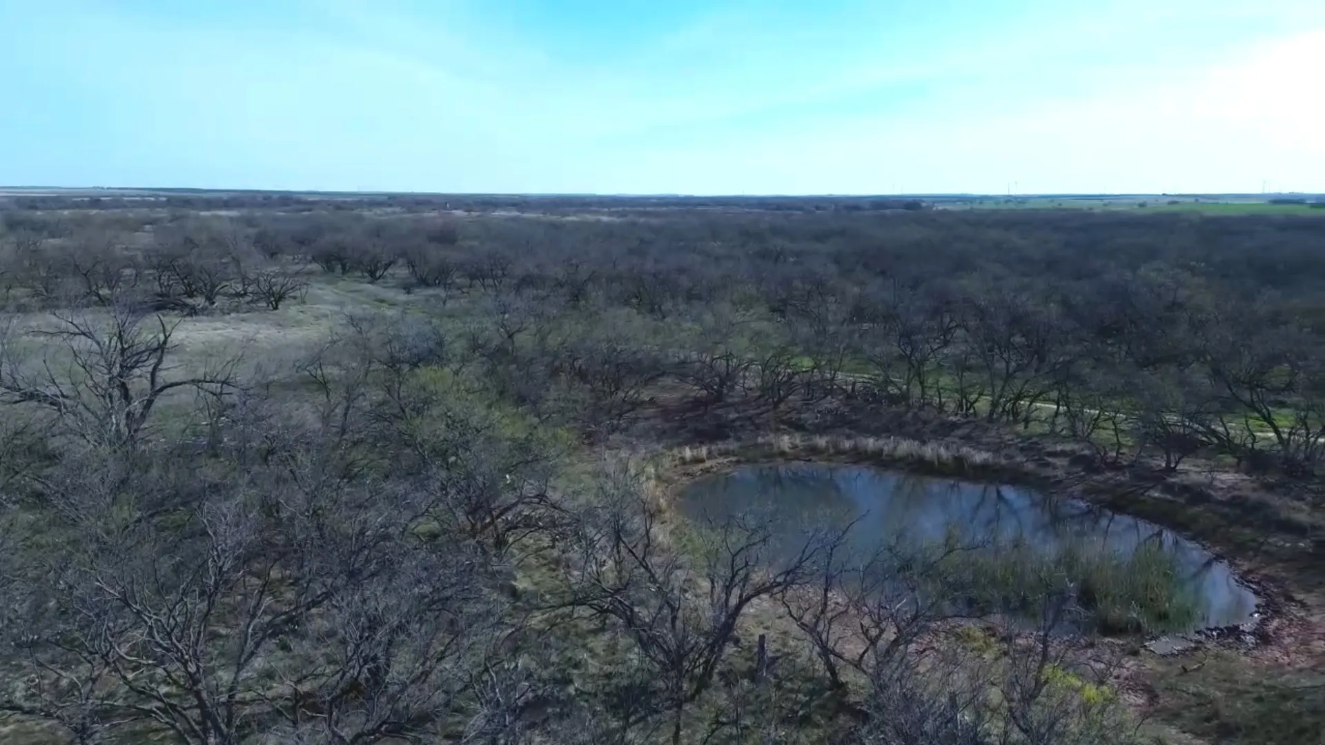 Ranch For Sale in Archer County , 0 Knox County Road, Archer City, Texas 76351, 0, 0, Garage spaces, 0 Sqft, built in 0, Price $592,000, mls#21221175, Real Estate Agent in Archer City, Homes For Sale in Archer county, Homes For Sale in Archer City, Realtor in Archer City Texas, Real Estate Brokerage Independent Realty Texas, Luminita Cordes Realtor