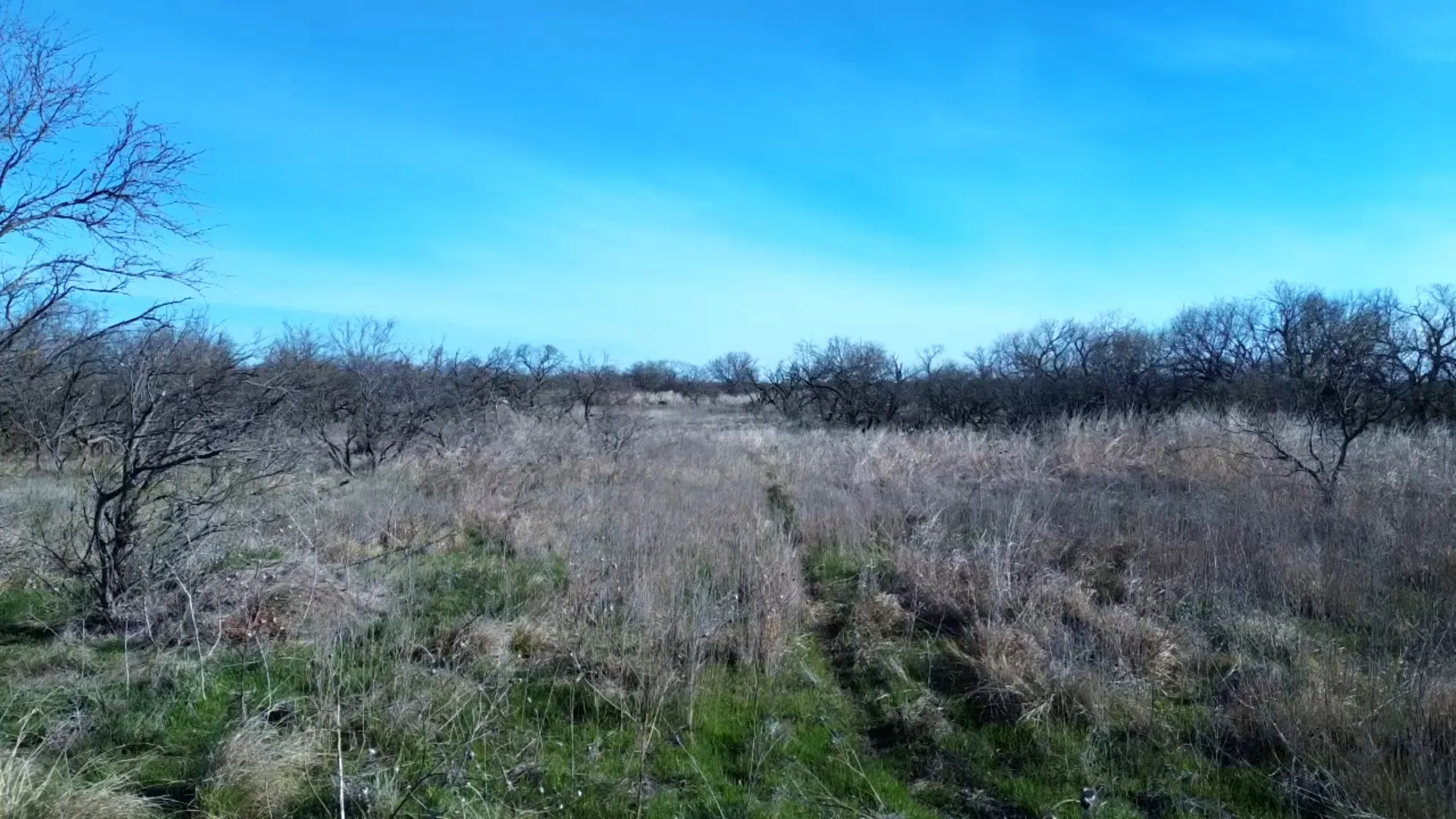 Ranch For Sale in Archer County , 0 Knox County Road, Archer City, Texas 76351, 0, 0, Garage spaces, 0 Sqft, built in 0, Price $592,000, mls#21221175, Real Estate Agent in Archer City, Homes For Sale in Archer county, Homes For Sale in Archer City, Realtor in Archer City Texas, Real Estate Brokerage Independent Realty Texas, Luminita Cordes Realtor