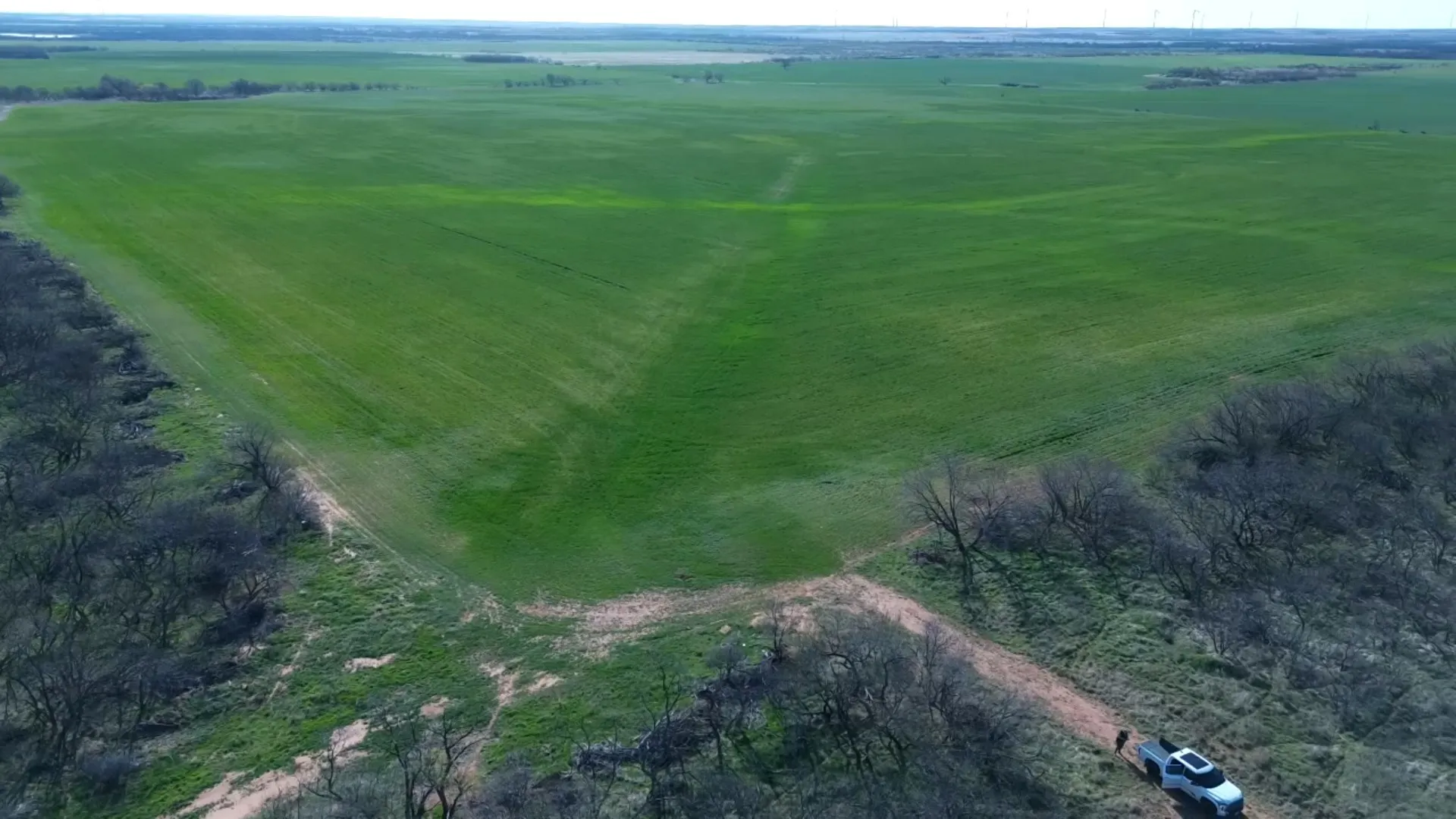 Ranch For Sale in Archer County , 0 Knox County Road, Archer City, Texas 76351, 0, 0, Garage spaces, 0 Sqft, built in 0, Price $592,000, mls#21221175, Real Estate Agent in Archer City, Homes For Sale in Archer county, Homes For Sale in Archer City, Realtor in Archer City Texas, Real Estate Brokerage Independent Realty Texas, Luminita Cordes Realtor