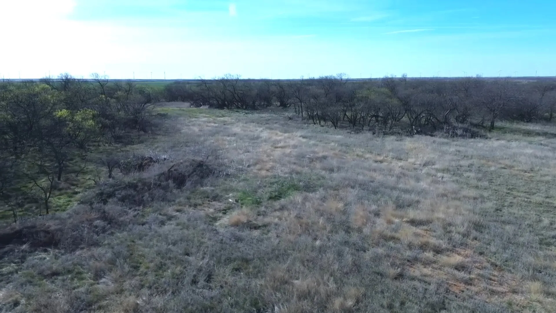 Ranch For Sale in Archer County , 0 Knox County Road, Archer City, Texas 76351, 0, 0, Garage spaces, 0 Sqft, built in 0, Price $592,000, mls#21221175, Real Estate Agent in Archer City, Homes For Sale in Archer county, Homes For Sale in Archer City, Realtor in Archer City Texas, Real Estate Brokerage Independent Realty Texas, Luminita Cordes Realtor