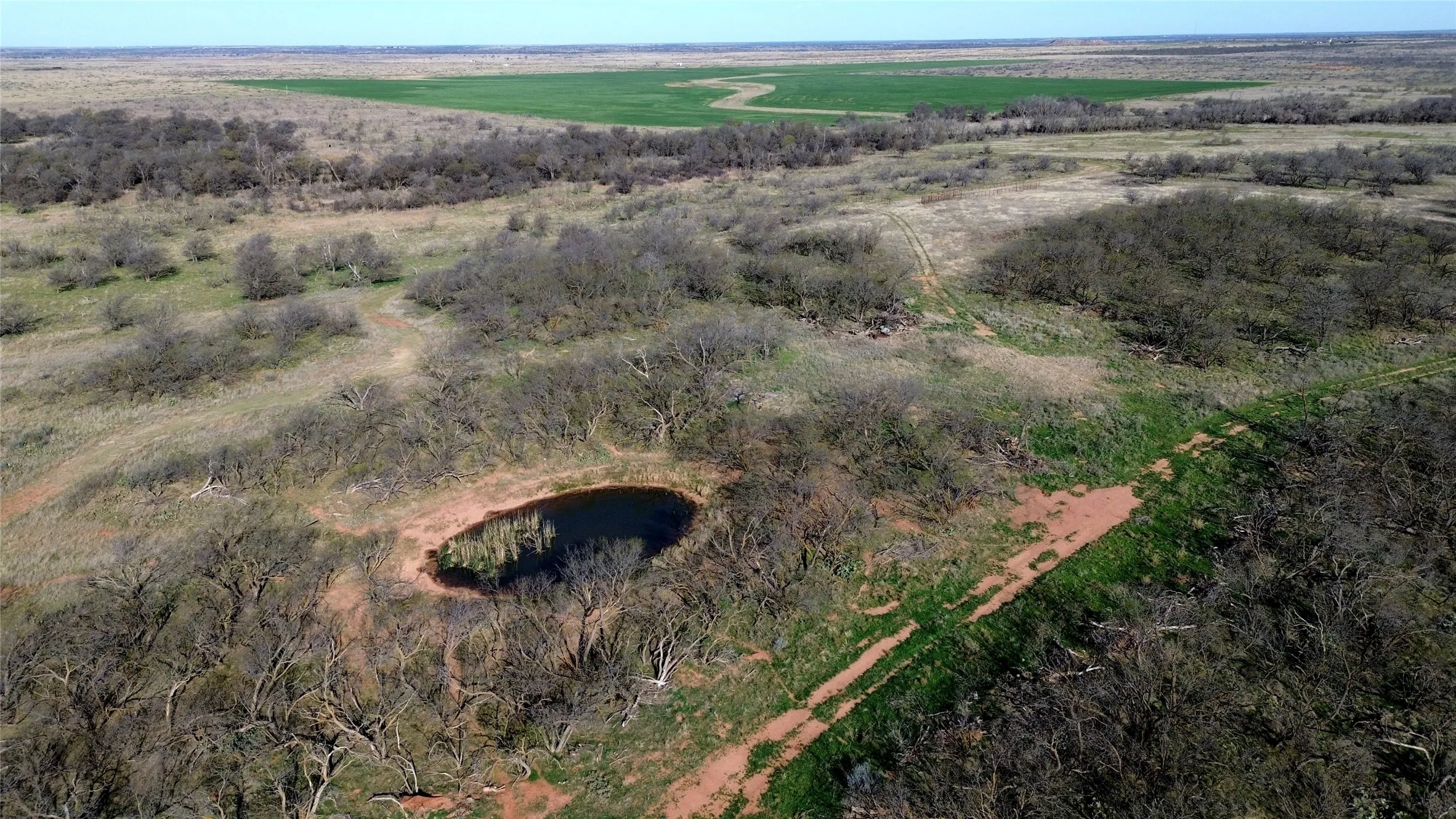 Ranch For Sale in Archer County , 0 Knox County Road, Archer City, Texas 76351, 0, 0, Garage spaces, 0 Sqft, built in 0, Price $592,000, mls#21221175, Real Estate Agent in Archer City, Homes For Sale in Archer county, Homes For Sale in Archer City, Realtor in Archer City Texas, Real Estate Brokerage Independent Realty Texas, Luminita Cordes Realtor