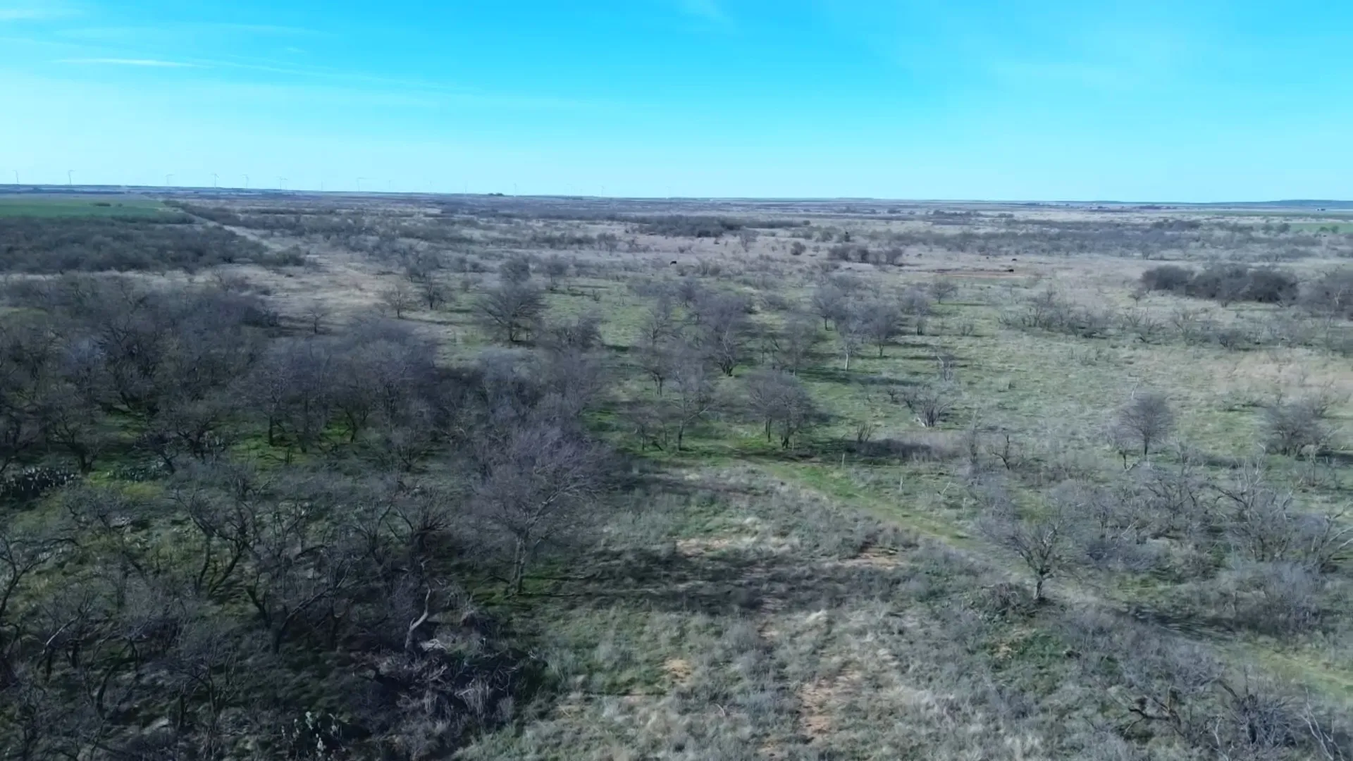 Ranch For Sale in Archer County , 0 Knox County Road, Archer City, Texas 76351, 0, 0, Garage spaces, 0 Sqft, built in 0, Price $592,000, mls#21221175, Real Estate Agent in Archer City, Homes For Sale in Archer county, Homes For Sale in Archer City, Realtor in Archer City Texas, Real Estate Brokerage Independent Realty Texas, Luminita Cordes Realtor