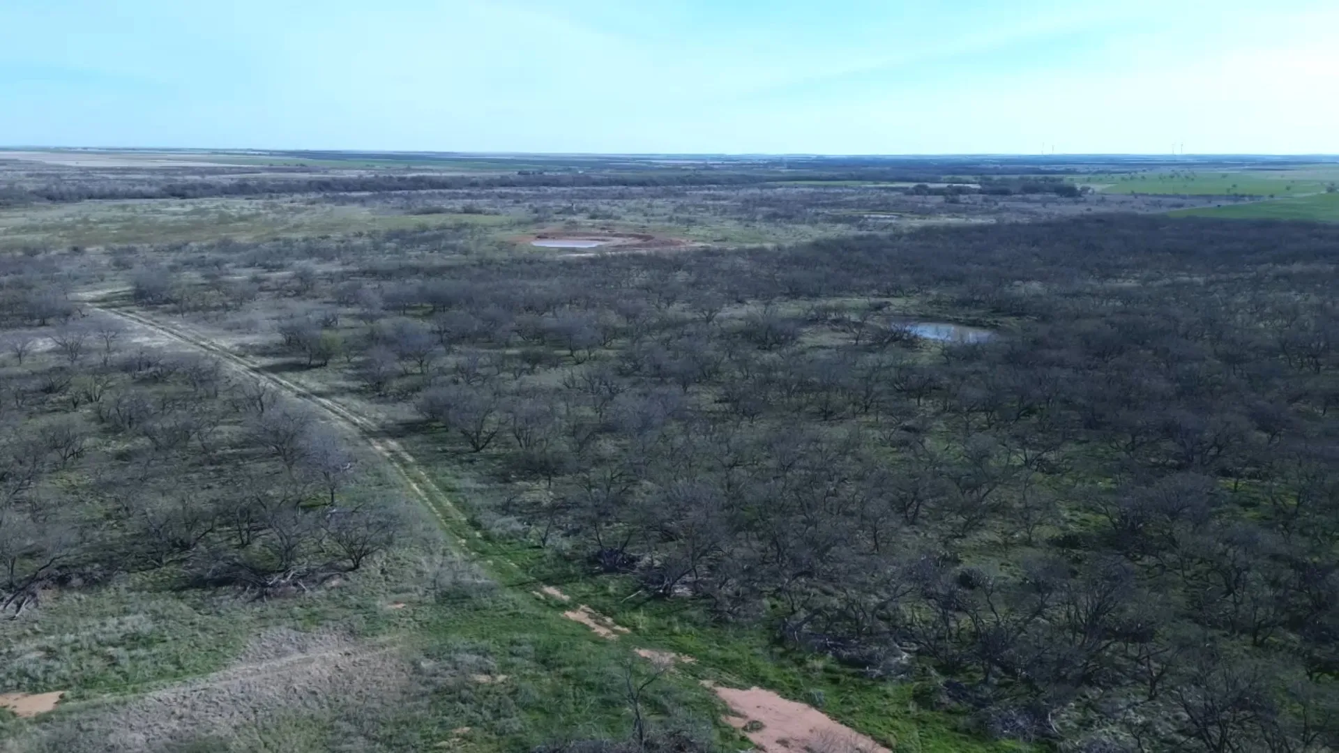 Ranch For Sale in Archer County , 0 Knox County Road, Archer City, Texas 76351, 0, 0, Garage spaces, 0 Sqft, built in 0, Price $592,000, mls#21221175, Real Estate Agent in Archer City, Homes For Sale in Archer county, Homes For Sale in Archer City, Realtor in Archer City Texas, Real Estate Brokerage Independent Realty Texas, Luminita Cordes Realtor