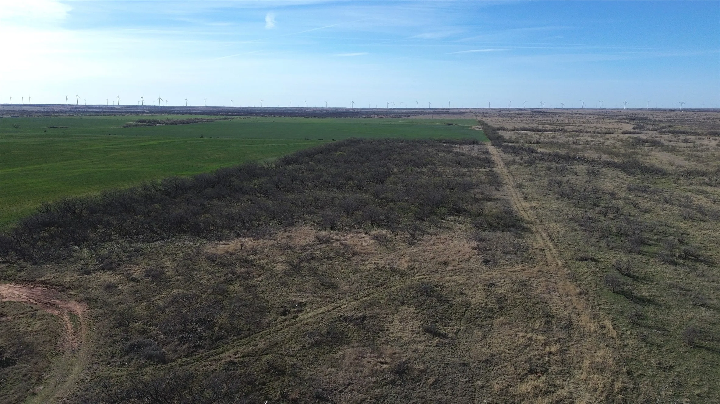 Ranch For Sale in Archer County , 0 Knox County Road, Archer City, Texas 76351, 0, 0, Garage spaces, 0 Sqft, built in 0, Price $592,000, mls#21221175, Real Estate Agent in Archer City, Homes For Sale in Archer county, Homes For Sale in Archer City, Realtor in Archer City Texas, Real Estate Brokerage Independent Realty Texas, Luminita Cordes Realtor