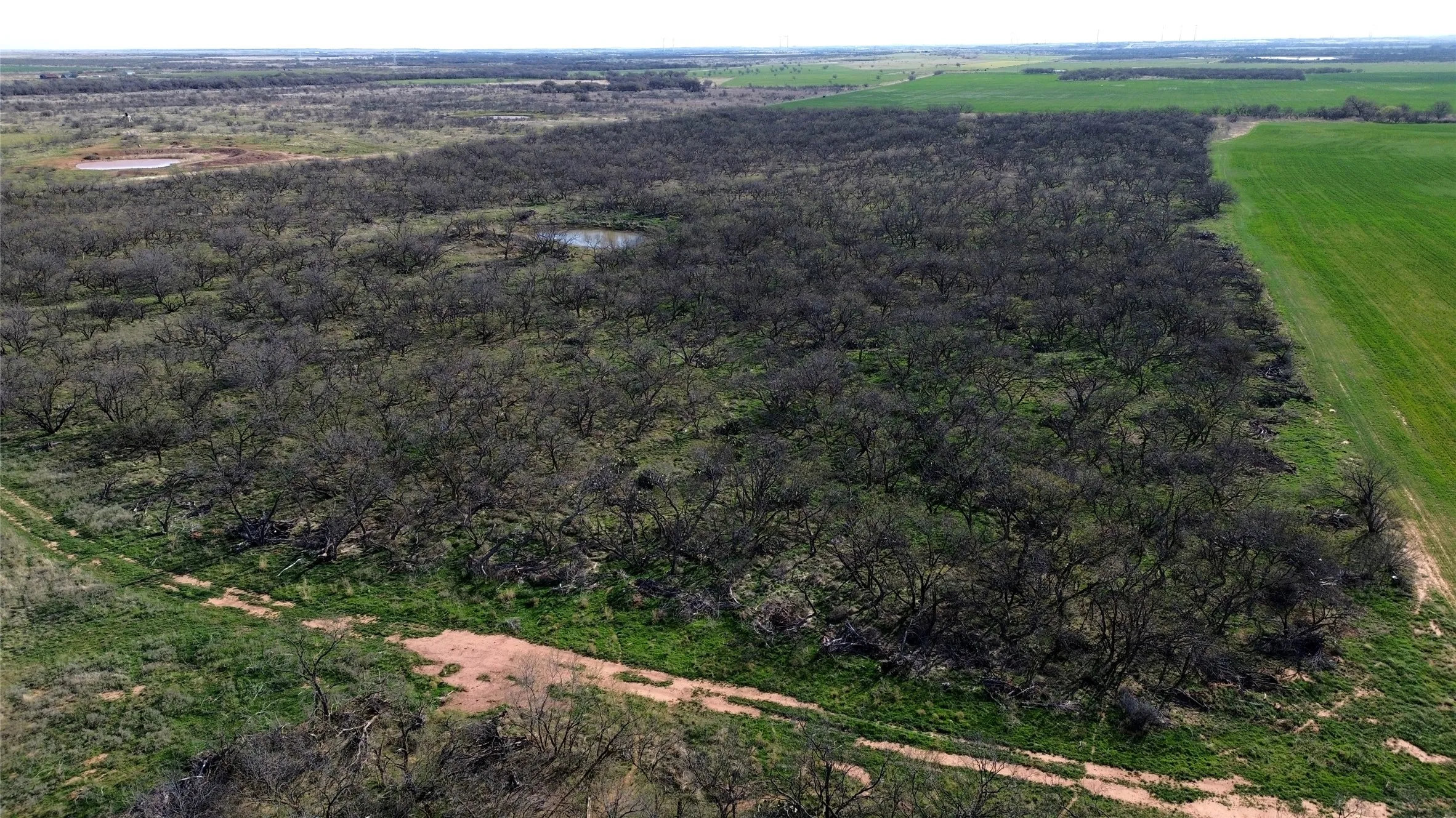 Ranch For Sale in Archer County , 0 Knox County Road, Archer City, Texas 76351, 0, 0, Garage spaces, 0 Sqft, built in 0, Price $592,000, mls#21221175, Real Estate Agent in Archer City, Homes For Sale in Archer county, Homes For Sale in Archer City, Realtor in Archer City Texas, Real Estate Brokerage Independent Realty Texas, Luminita Cordes Realtor