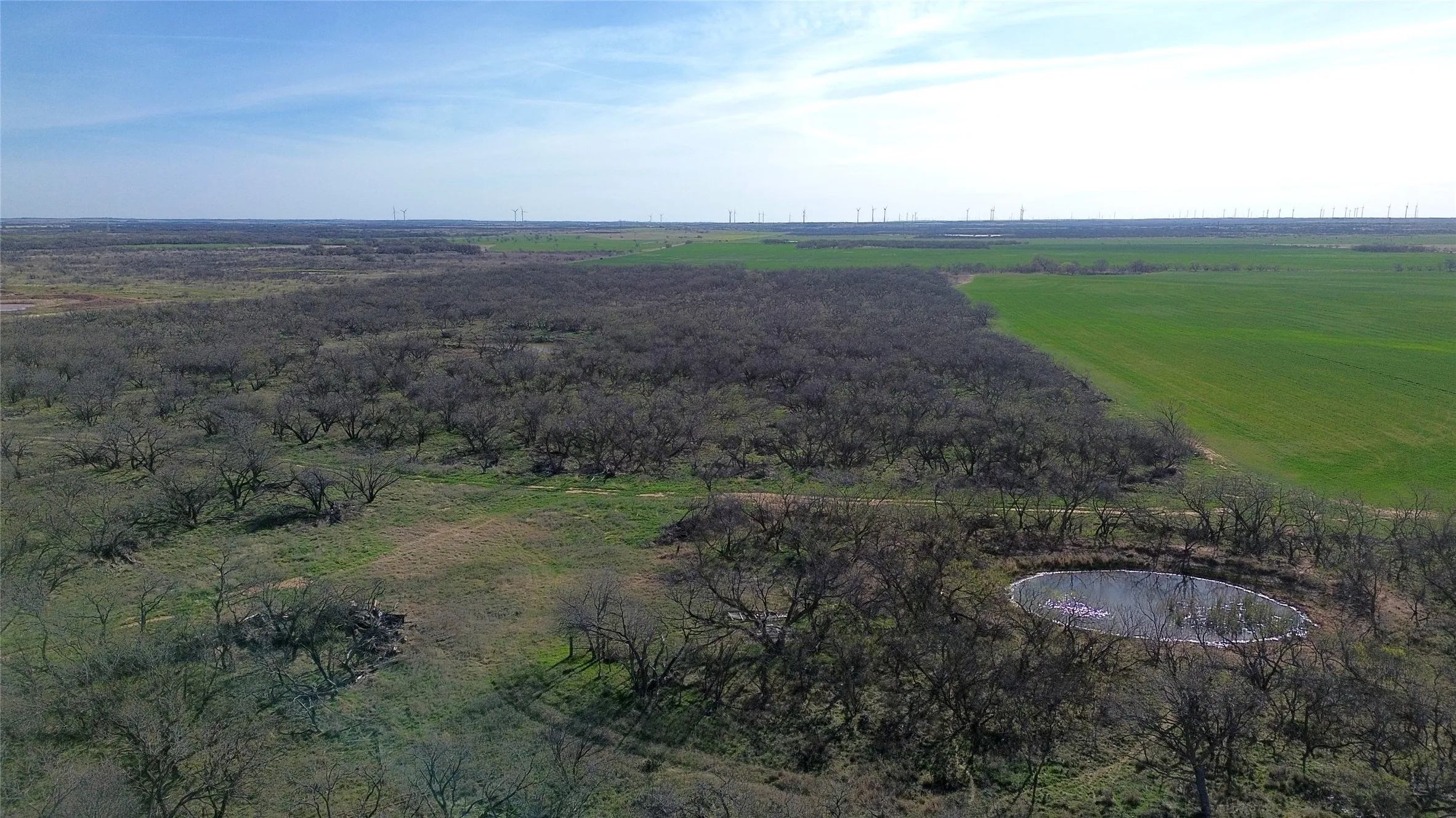 Ranch For Sale in Archer County , 0 Knox County Road, Archer City, Texas 76351, 0, 0, Garage spaces, 0 Sqft, built in 0, Price $592,000, mls#21221175, Real Estate Agent in Archer City, Homes For Sale in Archer county, Homes For Sale in Archer City, Realtor in Archer City Texas, Real Estate Brokerage Independent Realty Texas, Luminita Cordes Realtor