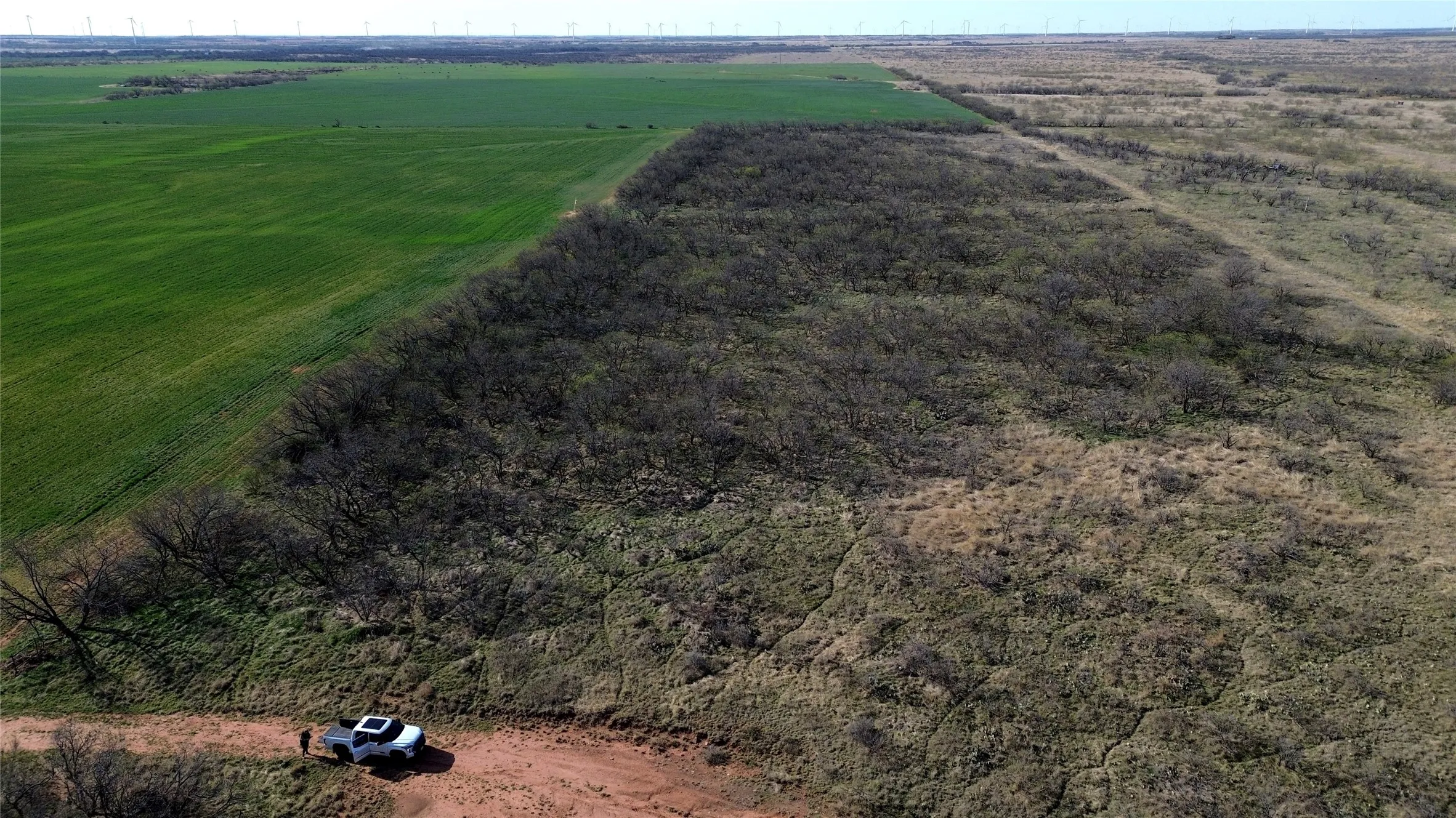 Ranch For Sale in Archer County , 0 Knox County Road, Archer City, Texas 76351, 0, 0, Garage spaces, 0 Sqft, built in 0, Price $592,000, mls#21221175, Real Estate Agent in Archer City, Homes For Sale in Archer county, Homes For Sale in Archer City, Realtor in Archer City Texas, Real Estate Brokerage Independent Realty Texas, Luminita Cordes Realtor