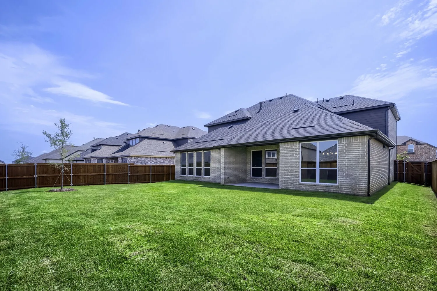 Expansive backyard featuring a lush lawn, privacy fencing, and a young tree