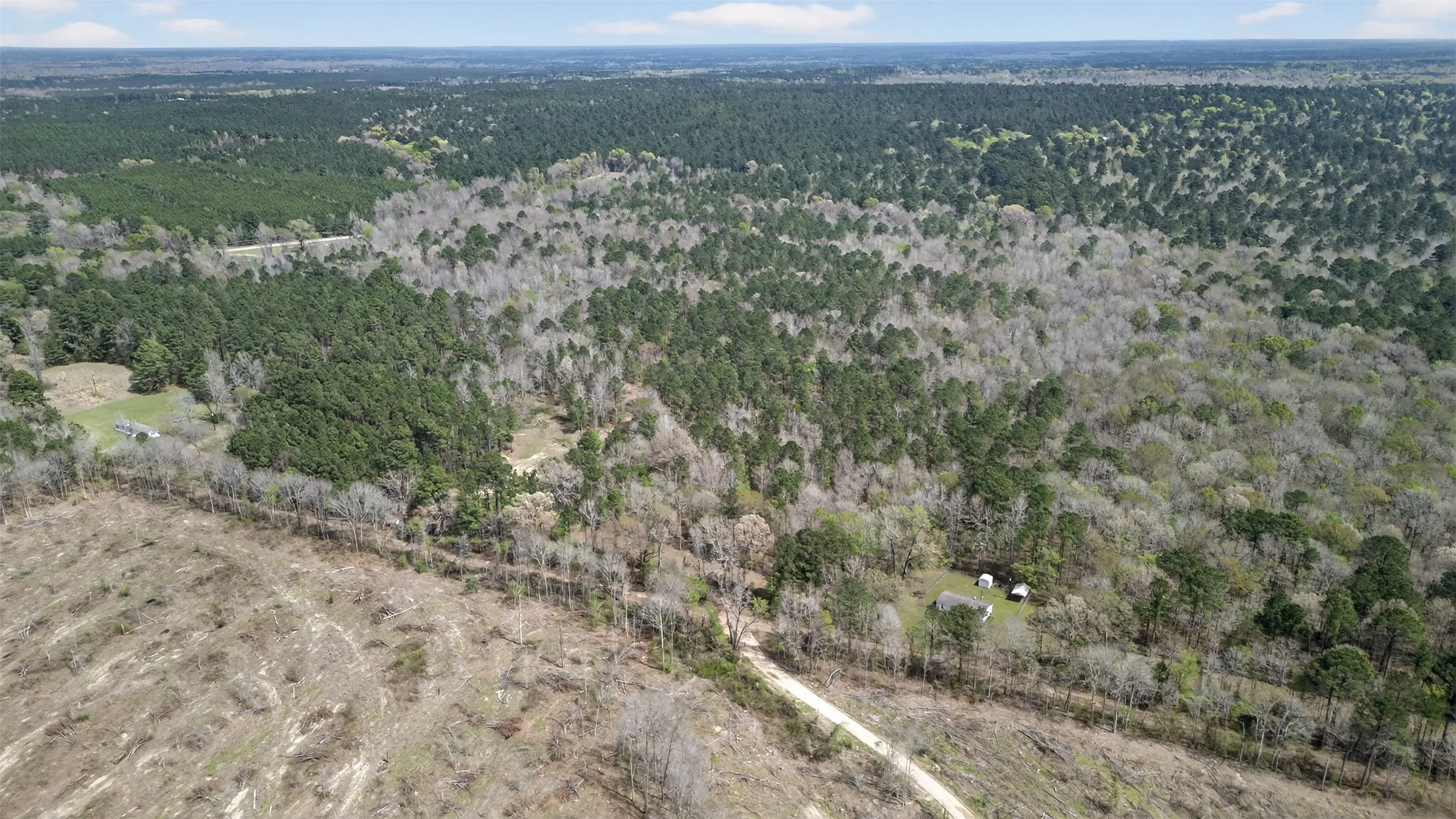 Drone / aerial view of a heavily wooded area