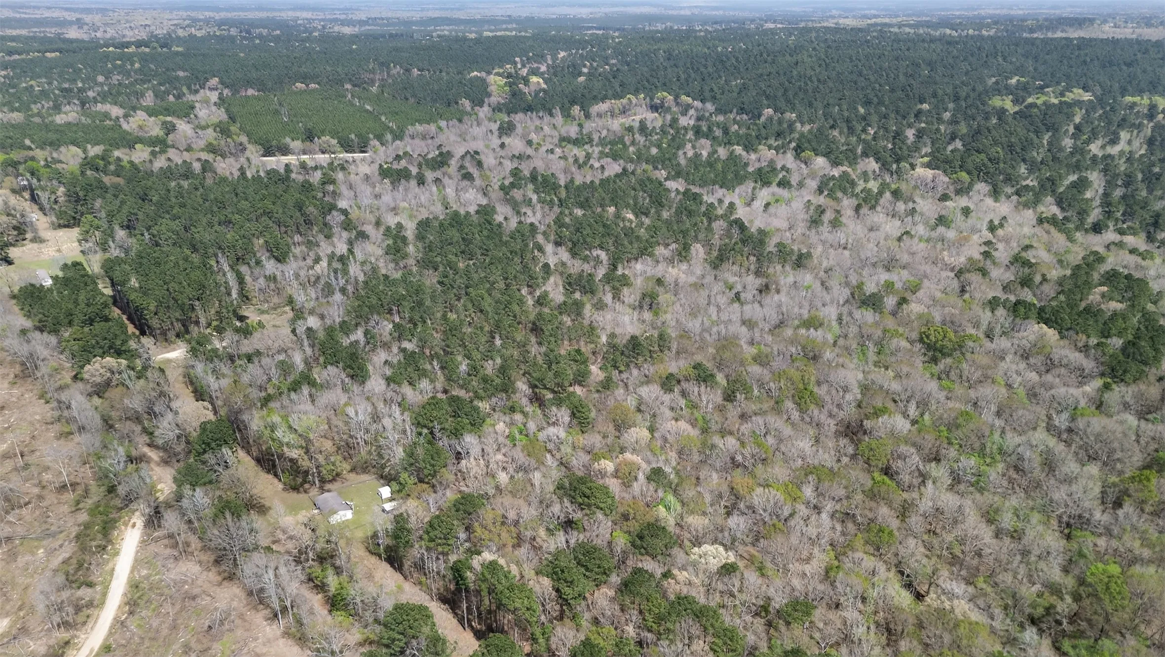 Aerial view of a heavily wooded area