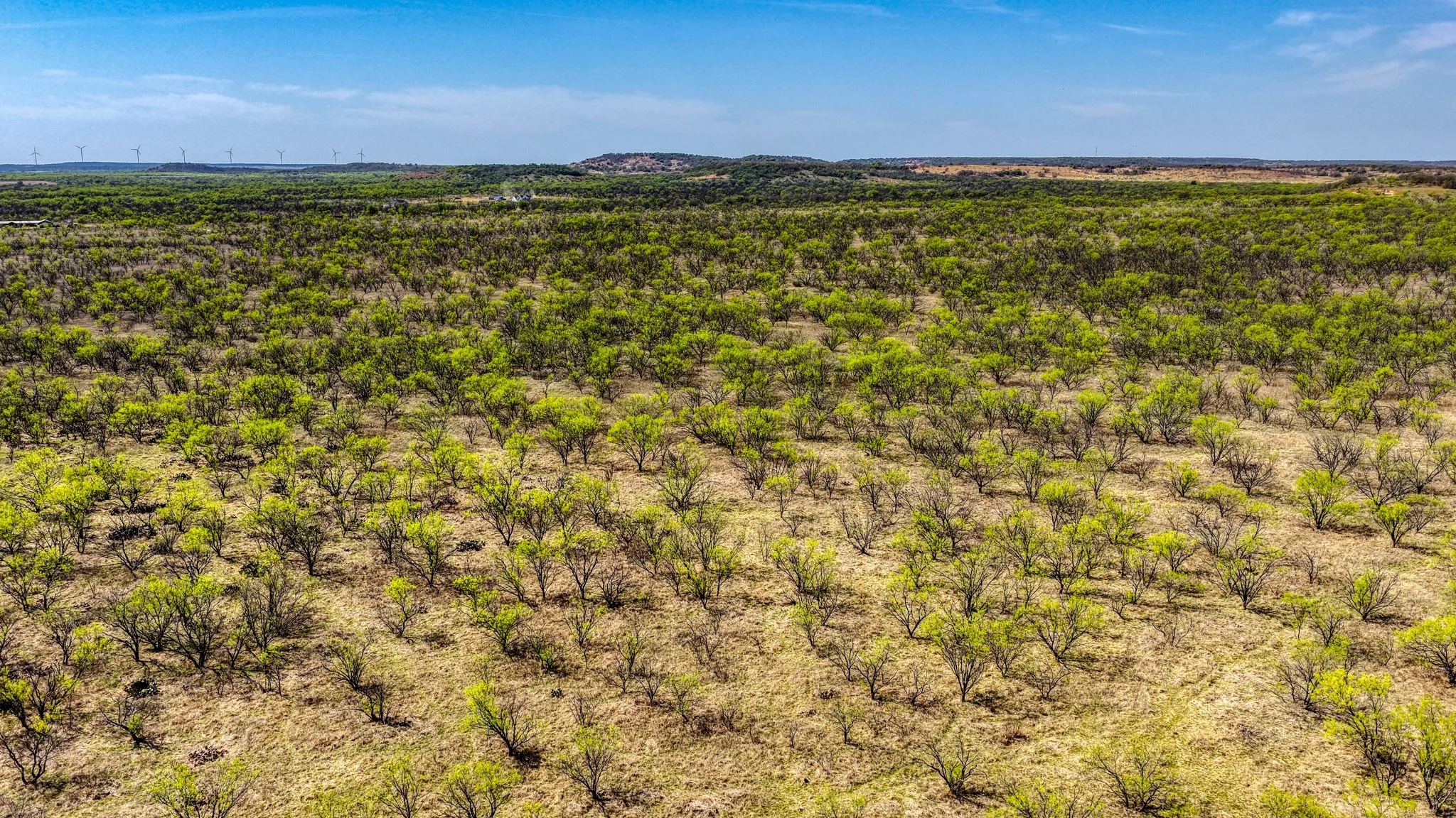Ranch For Sale in Jack County , 5600 Roney Road, Jermyn, Texas 76459, 0, 0, Garage spaces, 0 Sqft, built in 0, Price $667,900, mls#21221380, Real Estate Agent in Jermyn, Homes For Sale in Jack county, Homes For Sale in Jermyn, Realtor in Jermyn Texas, Real Estate Brokerage Independent Realty Texas, Luminita Cordes Realtor