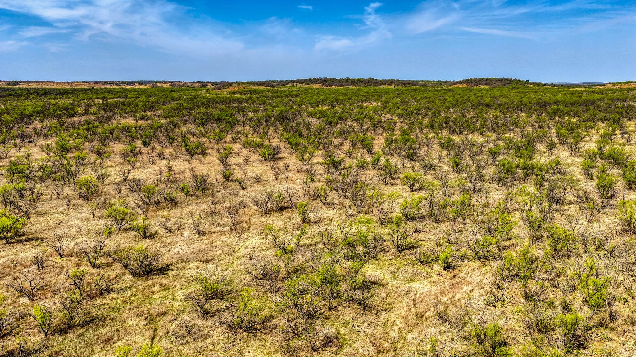 Ranch For Sale in Jack County , 5600 Roney Road, Jermyn, Texas 76459, 0, 0, Garage spaces, 0 Sqft, built in 0, Price $667,900, mls#21221380, Real Estate Agent in Jermyn, Homes For Sale in Jack county, Homes For Sale in Jermyn, Realtor in Jermyn Texas, Real Estate Brokerage Independent Realty Texas, Luminita Cordes Realtor