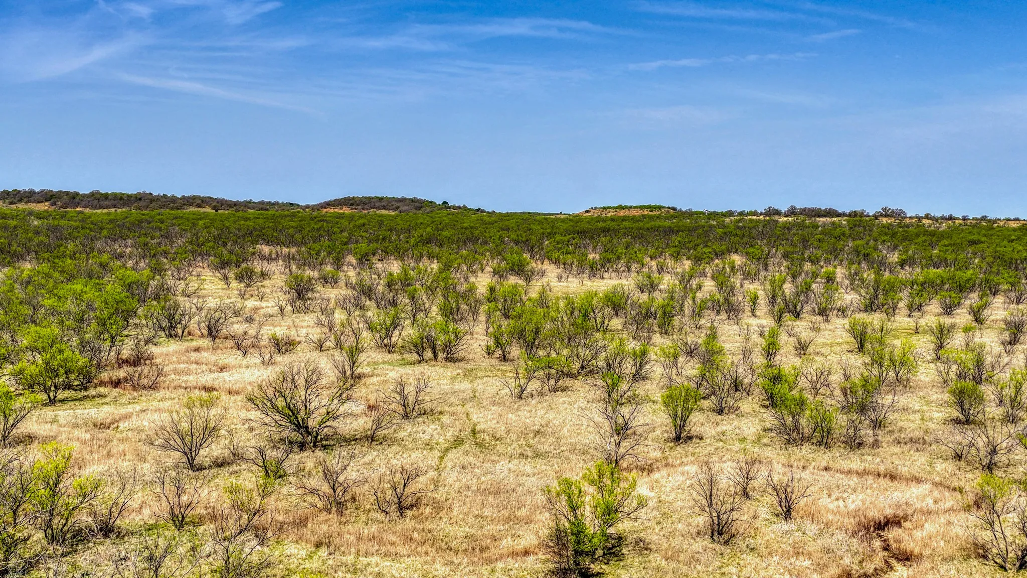 Ranch For Sale in Jack County , 5600 Roney Road, Jermyn, Texas 76459, 0, 0, Garage spaces, 0 Sqft, built in 0, Price $667,900, mls#21221380, Real Estate Agent in Jermyn, Homes For Sale in Jack county, Homes For Sale in Jermyn, Realtor in Jermyn Texas, Real Estate Brokerage Independent Realty Texas, Luminita Cordes Realtor