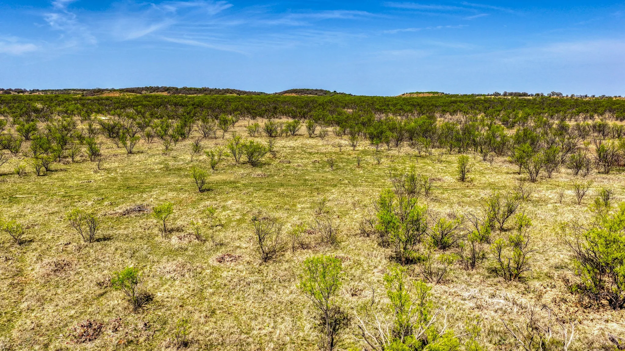 Ranch For Sale in Jack County , 5600 Roney Road, Jermyn, Texas 76459, 0, 0, Garage spaces, 0 Sqft, built in 0, Price $667,900, mls#21221380, Real Estate Agent in Jermyn, Homes For Sale in Jack county, Homes For Sale in Jermyn, Realtor in Jermyn Texas, Real Estate Brokerage Independent Realty Texas, Luminita Cordes Realtor