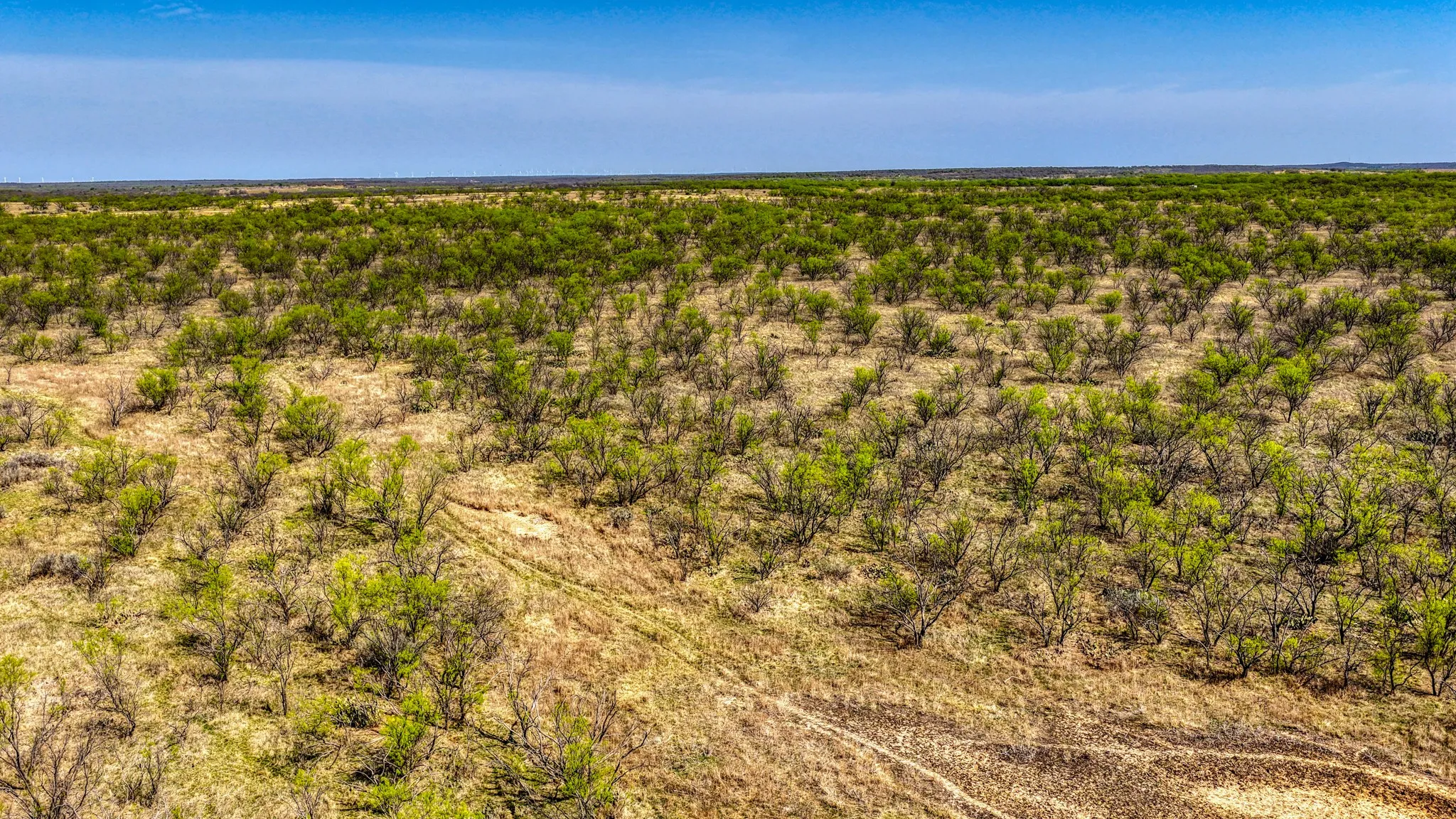 Ranch For Sale in Jack County , 5600 Roney Road, Jermyn, Texas 76459, 0, 0, Garage spaces, 0 Sqft, built in 0, Price $667,900, mls#21221380, Real Estate Agent in Jermyn, Homes For Sale in Jack county, Homes For Sale in Jermyn, Realtor in Jermyn Texas, Real Estate Brokerage Independent Realty Texas, Luminita Cordes Realtor