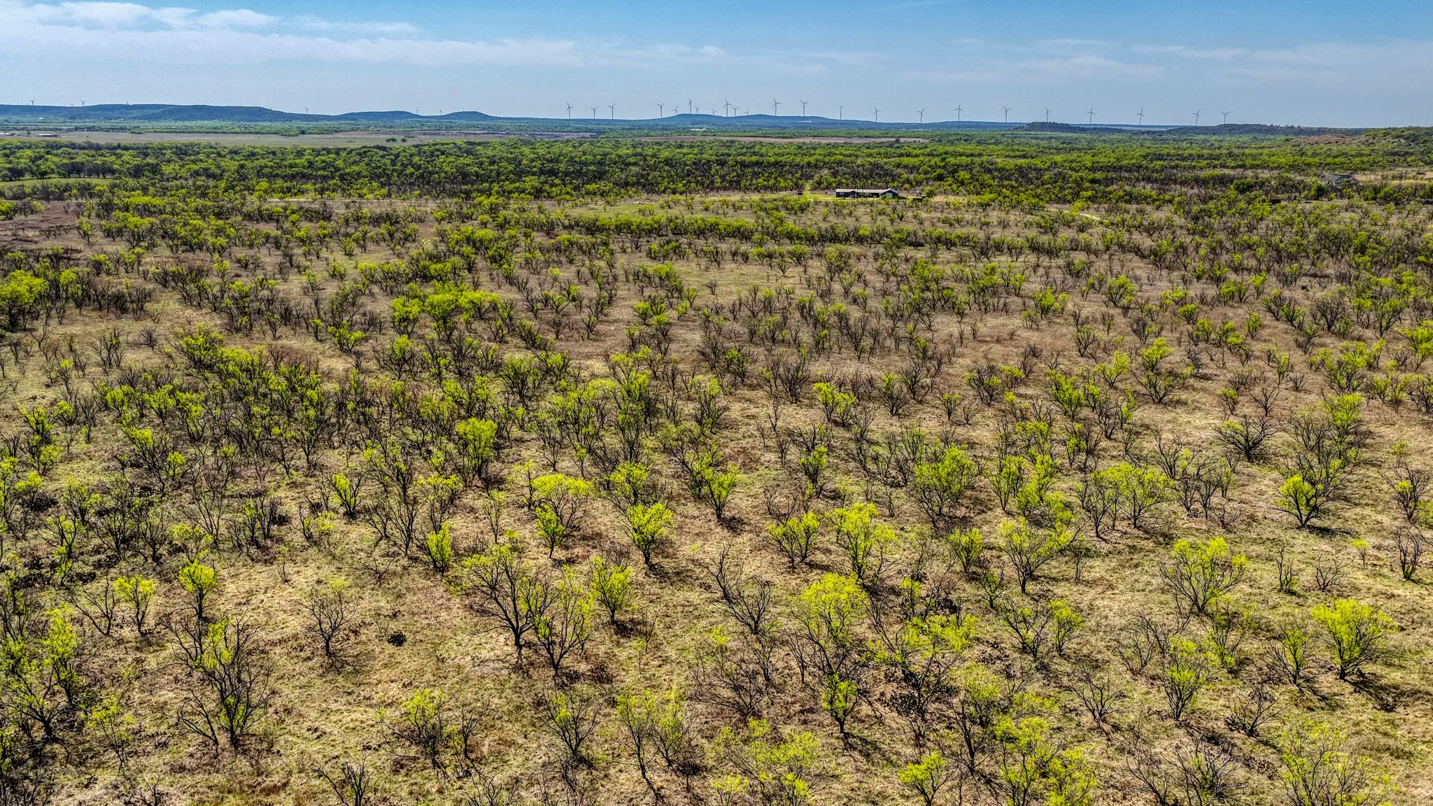 Ranch For Sale in Jack County , 5600 Roney Road, Jermyn, Texas 76459, 0, 0, Garage spaces, 0 Sqft, built in 0, Price $667,900, mls#21221380, Real Estate Agent in Jermyn, Homes For Sale in Jack county, Homes For Sale in Jermyn, Realtor in Jermyn Texas, Real Estate Brokerage Independent Realty Texas, Luminita Cordes Realtor