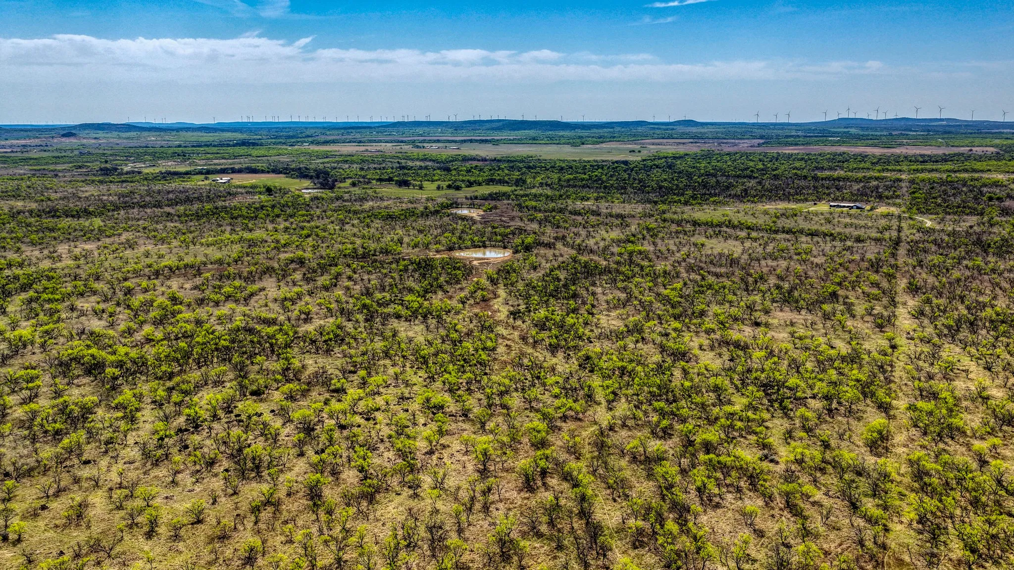 Ranch For Sale in Jack County , 5600 Roney Road, Jermyn, Texas 76459, 0, 0, Garage spaces, 0 Sqft, built in 0, Price $667,900, mls#21221380, Real Estate Agent in Jermyn, Homes For Sale in Jack county, Homes For Sale in Jermyn, Realtor in Jermyn Texas, Real Estate Brokerage Independent Realty Texas, Luminita Cordes Realtor