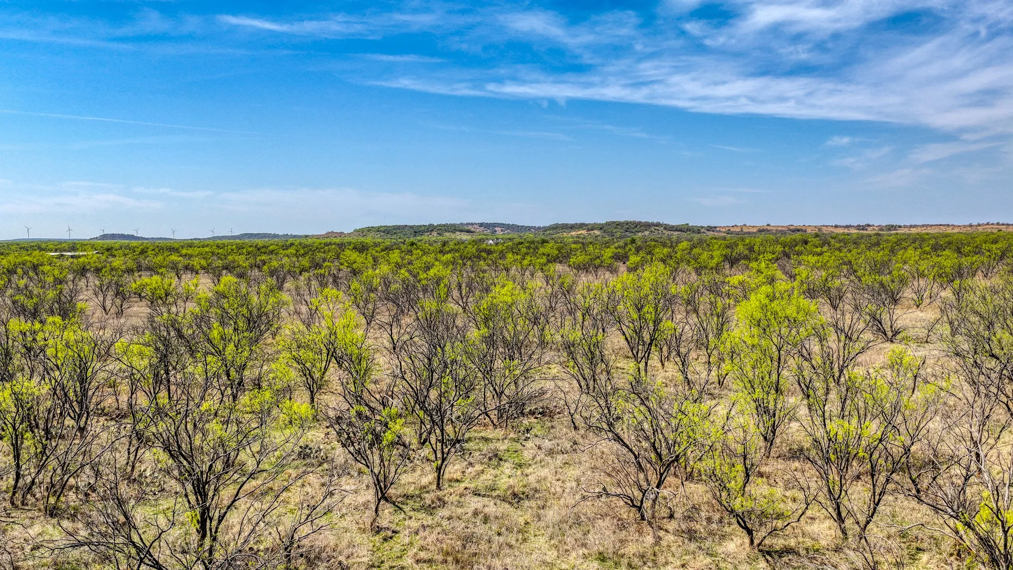 Ranch For Sale in Jack County , 5600 Roney Road, Jermyn, Texas 76459, 0, 0, Garage spaces, 0 Sqft, built in 0, Price $667,900, mls#21221380, Real Estate Agent in Jermyn, Homes For Sale in Jack county, Homes For Sale in Jermyn, Realtor in Jermyn Texas, Real Estate Brokerage Independent Realty Texas, Luminita Cordes Realtor