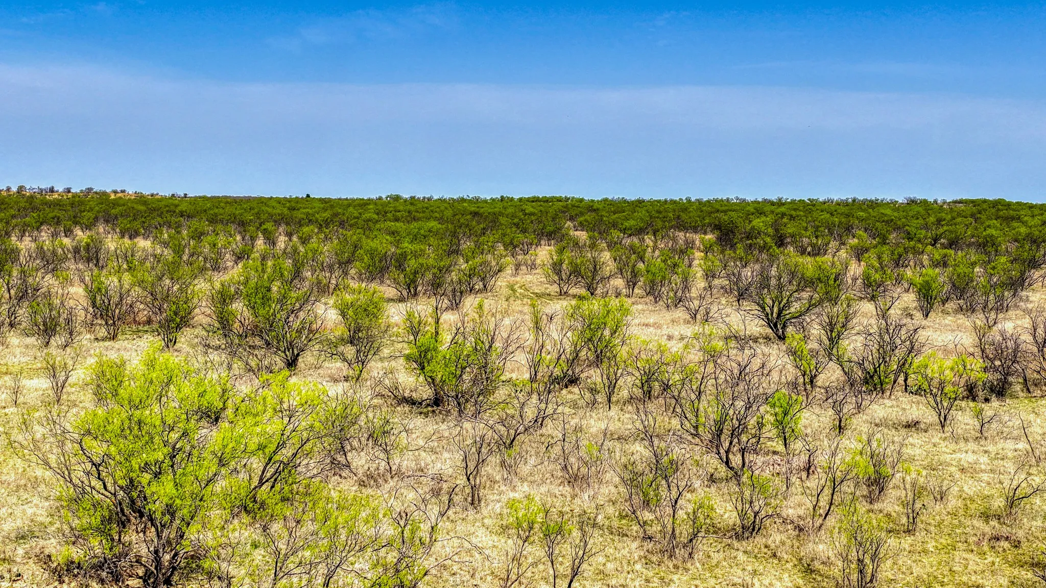 Ranch For Sale in Jack County , 5600 Roney Road, Jermyn, Texas 76459, 0, 0, Garage spaces, 0 Sqft, built in 0, Price $667,900, mls#21221380, Real Estate Agent in Jermyn, Homes For Sale in Jack county, Homes For Sale in Jermyn, Realtor in Jermyn Texas, Real Estate Brokerage Independent Realty Texas, Luminita Cordes Realtor