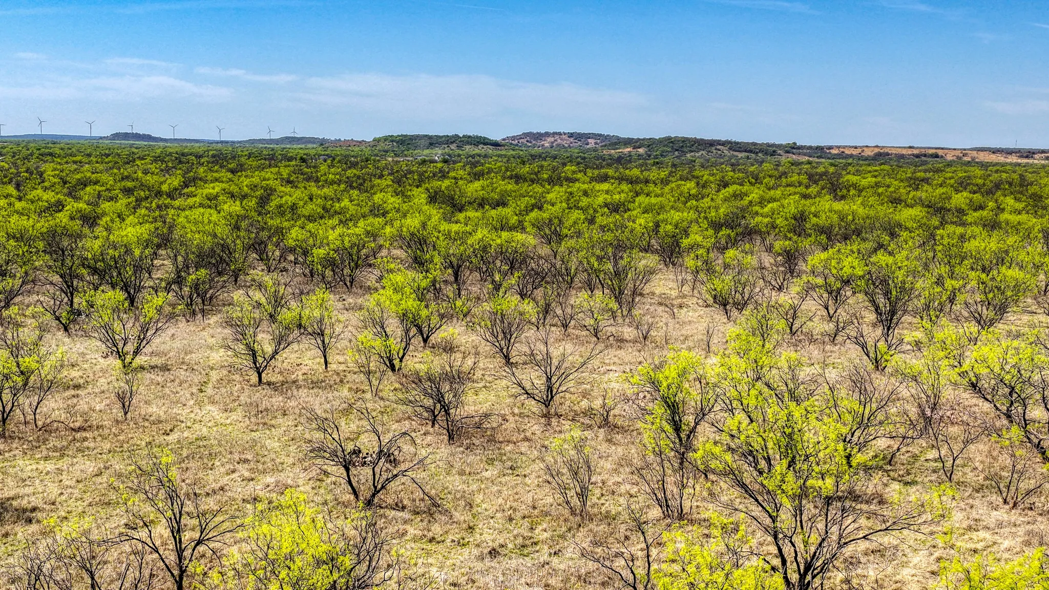 Ranch For Sale in Jack County , 5600 Roney Road, Jermyn, Texas 76459, 0, 0, Garage spaces, 0 Sqft, built in 0, Price $667,900, mls#21221380, Real Estate Agent in Jermyn, Homes For Sale in Jack county, Homes For Sale in Jermyn, Realtor in Jermyn Texas, Real Estate Brokerage Independent Realty Texas, Luminita Cordes Realtor
