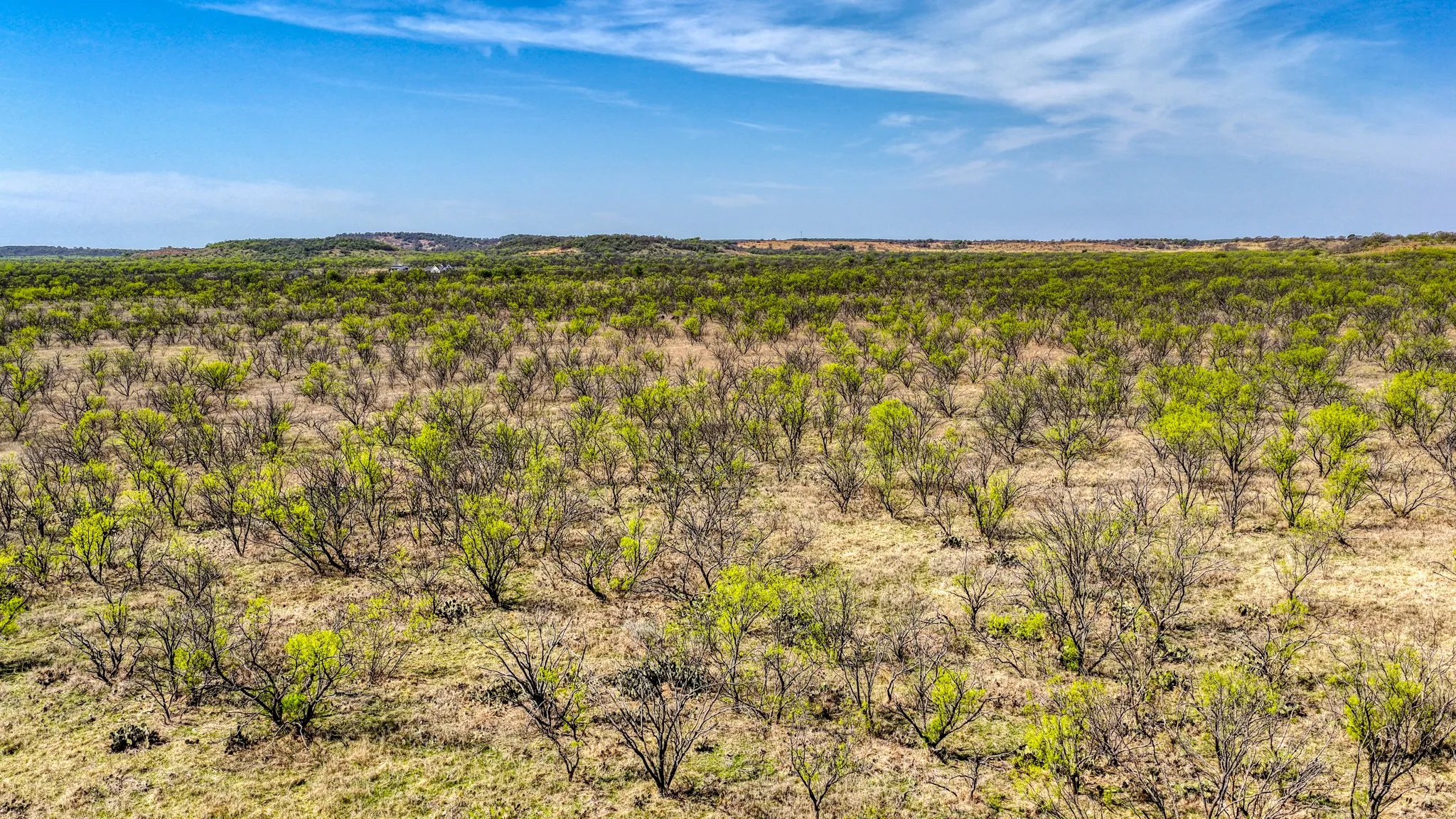 Ranch For Sale in Jack County , 5600 Roney Road, Jermyn, Texas 76459, 0, 0, Garage spaces, 0 Sqft, built in 0, Price $667,900, mls#21221380, Real Estate Agent in Jermyn, Homes For Sale in Jack county, Homes For Sale in Jermyn, Realtor in Jermyn Texas, Real Estate Brokerage Independent Realty Texas, Luminita Cordes Realtor