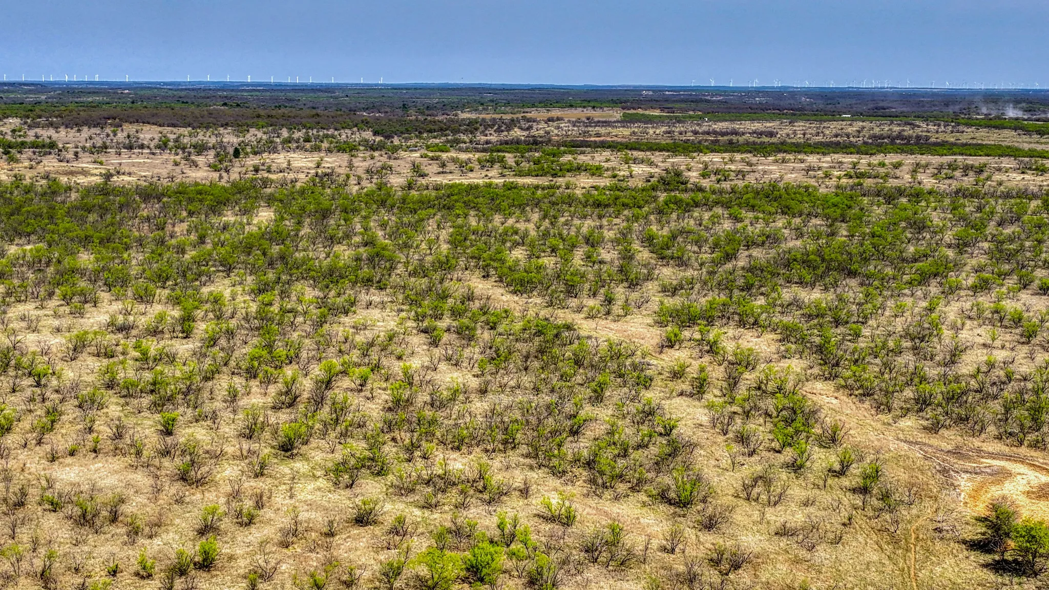 Ranch For Sale in Jack County , 5600 Roney Road, Jermyn, Texas 76459, 0, 0, Garage spaces, 0 Sqft, built in 0, Price $667,900, mls#21221380, Real Estate Agent in Jermyn, Homes For Sale in Jack county, Homes For Sale in Jermyn, Realtor in Jermyn Texas, Real Estate Brokerage Independent Realty Texas, Luminita Cordes Realtor
