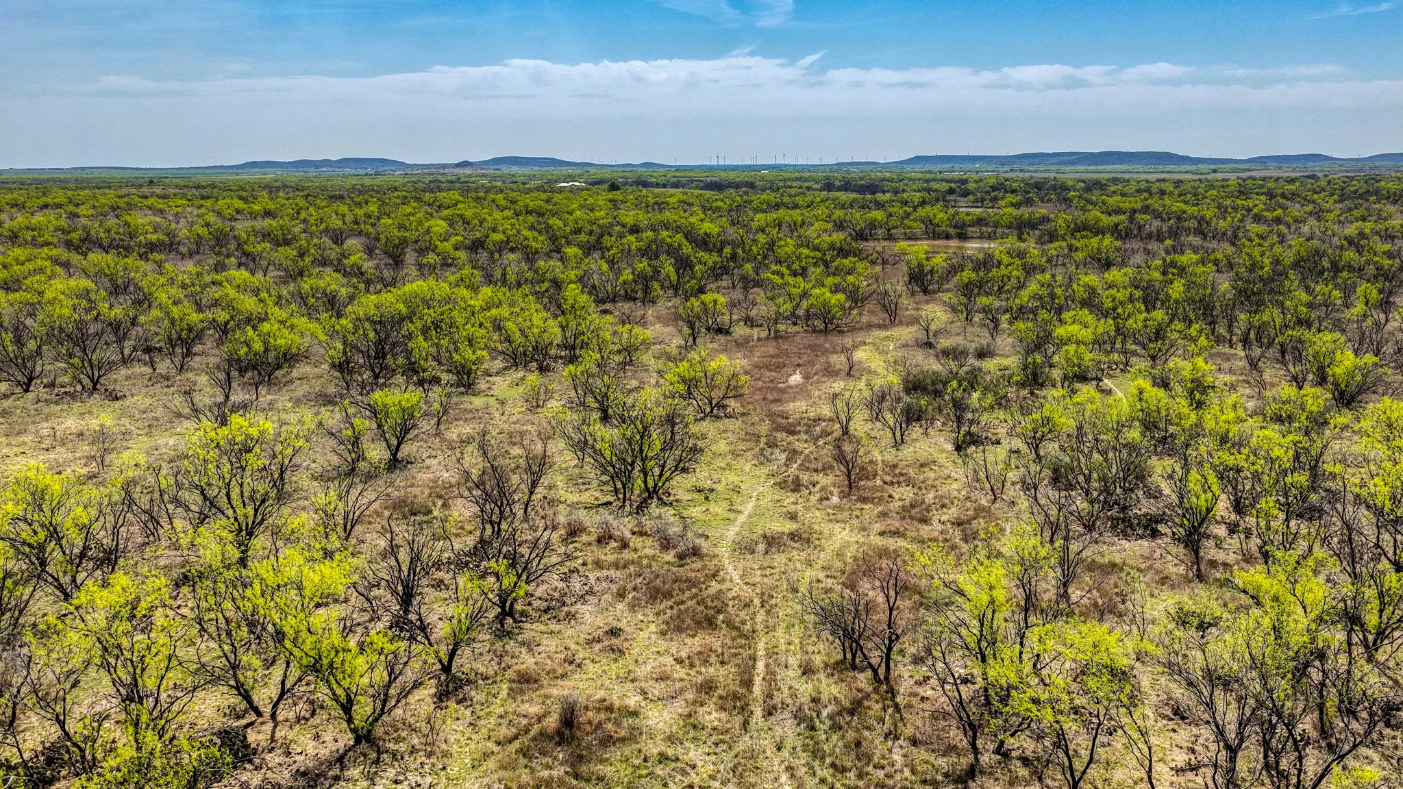 Ranch For Sale in Jack County , 5600 Roney Road, Jermyn, Texas 76459, 0, 0, Garage spaces, 0 Sqft, built in 0, Price $667,900, mls#21221380, Real Estate Agent in Jermyn, Homes For Sale in Jack county, Homes For Sale in Jermyn, Realtor in Jermyn Texas, Real Estate Brokerage Independent Realty Texas, Luminita Cordes Realtor