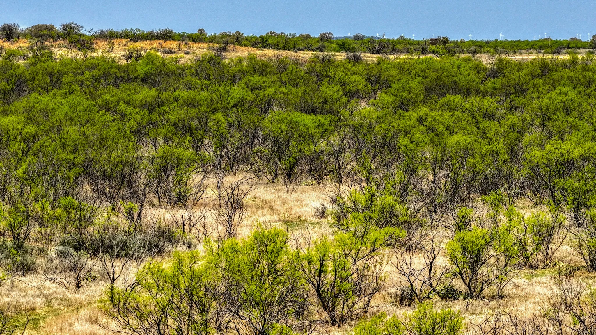 Ranch For Sale in Jack County , 5600 Roney Road, Jermyn, Texas 76459, 0, 0, Garage spaces, 0 Sqft, built in 0, Price $667,900, mls#21221380, Real Estate Agent in Jermyn, Homes For Sale in Jack county, Homes For Sale in Jermyn, Realtor in Jermyn Texas, Real Estate Brokerage Independent Realty Texas, Luminita Cordes Realtor