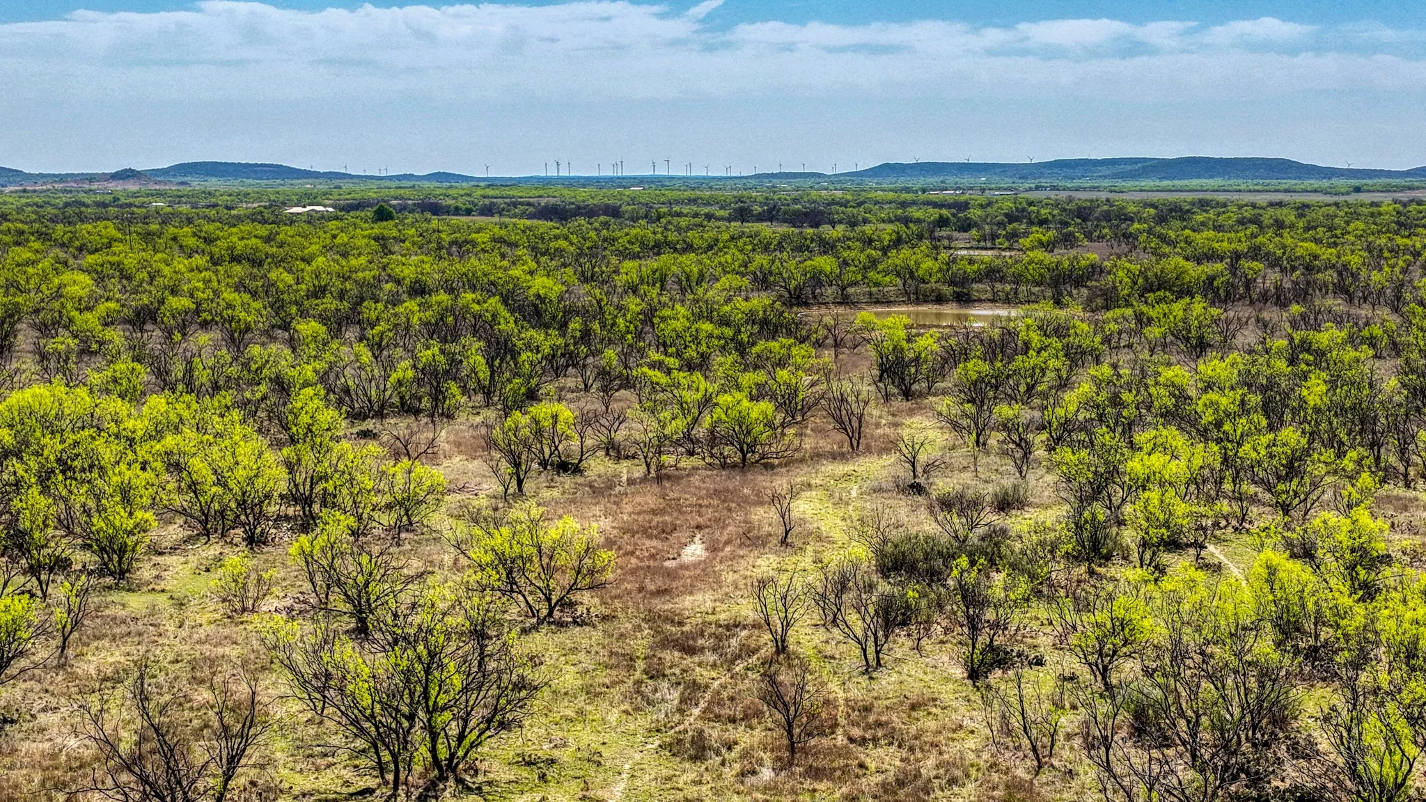 Ranch For Sale in Jack County , 5600 Roney Road, Jermyn, Texas 76459, 0, 0, Garage spaces, 0 Sqft, built in 0, Price $667,900, mls#21221380, Real Estate Agent in Jermyn, Homes For Sale in Jack county, Homes For Sale in Jermyn, Realtor in Jermyn Texas, Real Estate Brokerage Independent Realty Texas, Luminita Cordes Realtor