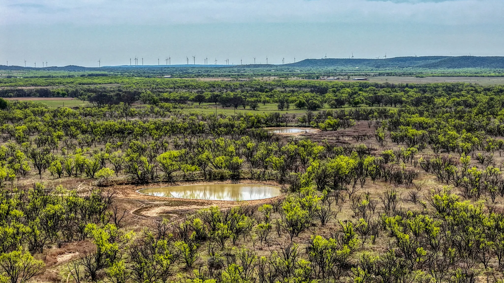 Ranch For Sale in Jack County , 5600 Roney Road, Jermyn, Texas 76459, 0, 0, Garage spaces, 0 Sqft, built in 0, Price $667,900, mls#21221380, Real Estate Agent in Jermyn, Homes For Sale in Jack county, Homes For Sale in Jermyn, Realtor in Jermyn Texas, Real Estate Brokerage Independent Realty Texas, Luminita Cordes Realtor