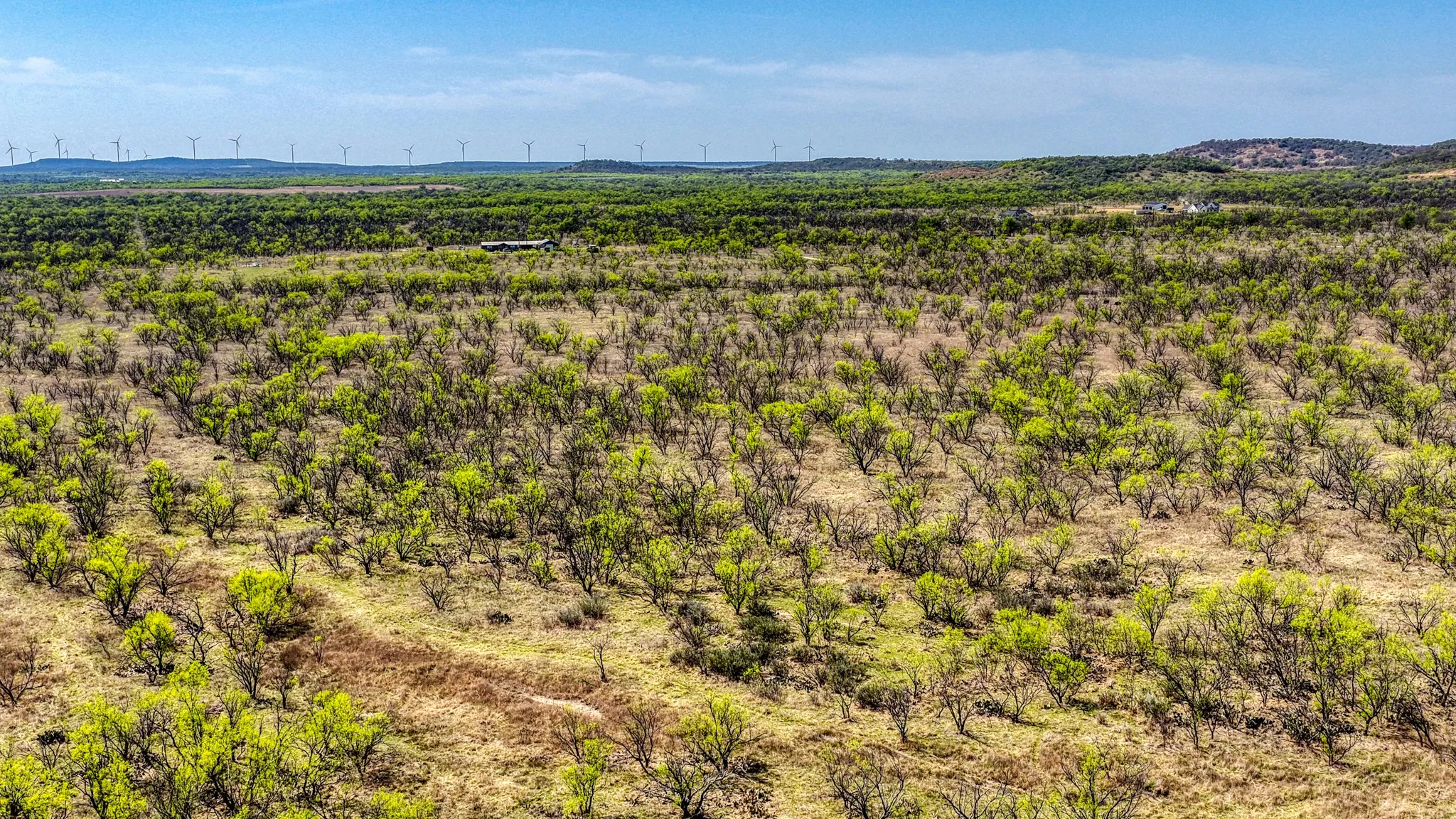 Ranch For Sale in Jack County , 5600 Roney Road, Jermyn, Texas 76459, 0, 0, Garage spaces, 0 Sqft, built in 0, Price $667,900, mls#21221380, Real Estate Agent in Jermyn, Homes For Sale in Jack county, Homes For Sale in Jermyn, Realtor in Jermyn Texas, Real Estate Brokerage Independent Realty Texas, Luminita Cordes Realtor