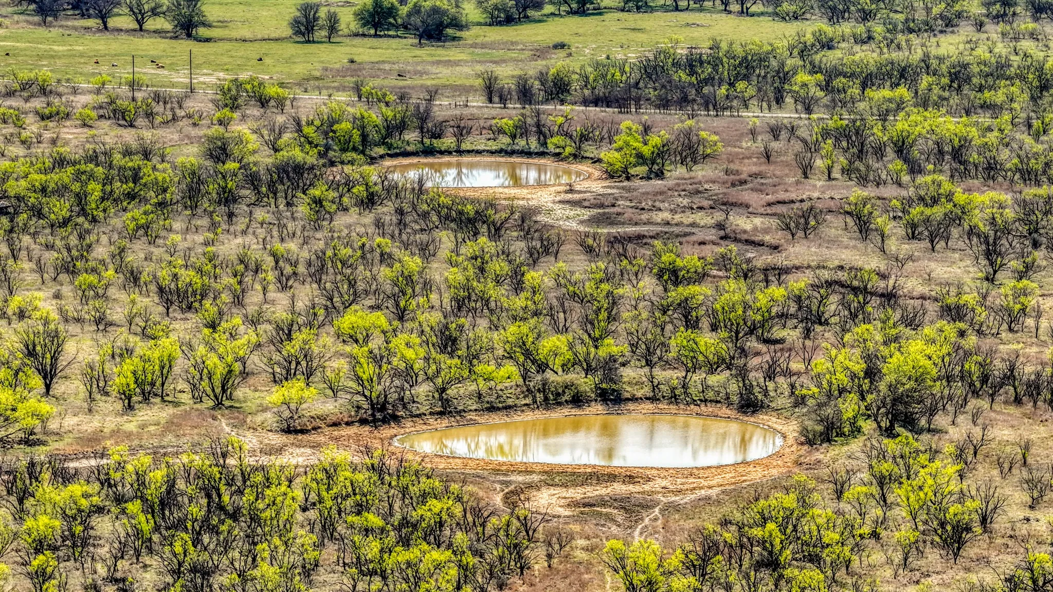 Ranch For Sale in Jack County , 5600 Roney Road, Jermyn, Texas 76459, 0, 0, Garage spaces, 0 Sqft, built in 0, Price $667,900, mls#21221380, Real Estate Agent in Jermyn, Homes For Sale in Jack county, Homes For Sale in Jermyn, Realtor in Jermyn Texas, Real Estate Brokerage Independent Realty Texas, Luminita Cordes Realtor
