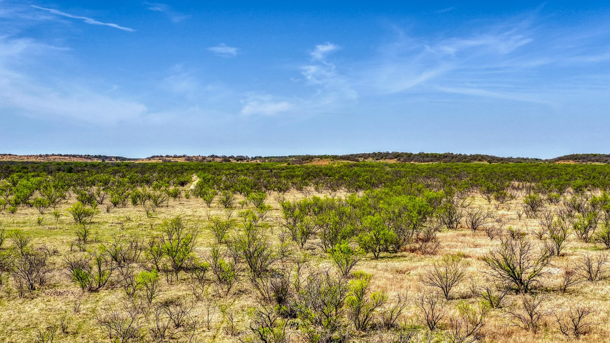 Ranch For Sale in Jack County , 5600 Roney Road, Jermyn, Texas 76459, 0, 0, Garage spaces, 0 Sqft, built in 0, Price $667,900, mls#21221380, Real Estate Agent in Jermyn, Homes For Sale in Jack county, Homes For Sale in Jermyn, Realtor in Jermyn Texas, Real Estate Brokerage Independent Realty Texas, Luminita Cordes Realtor