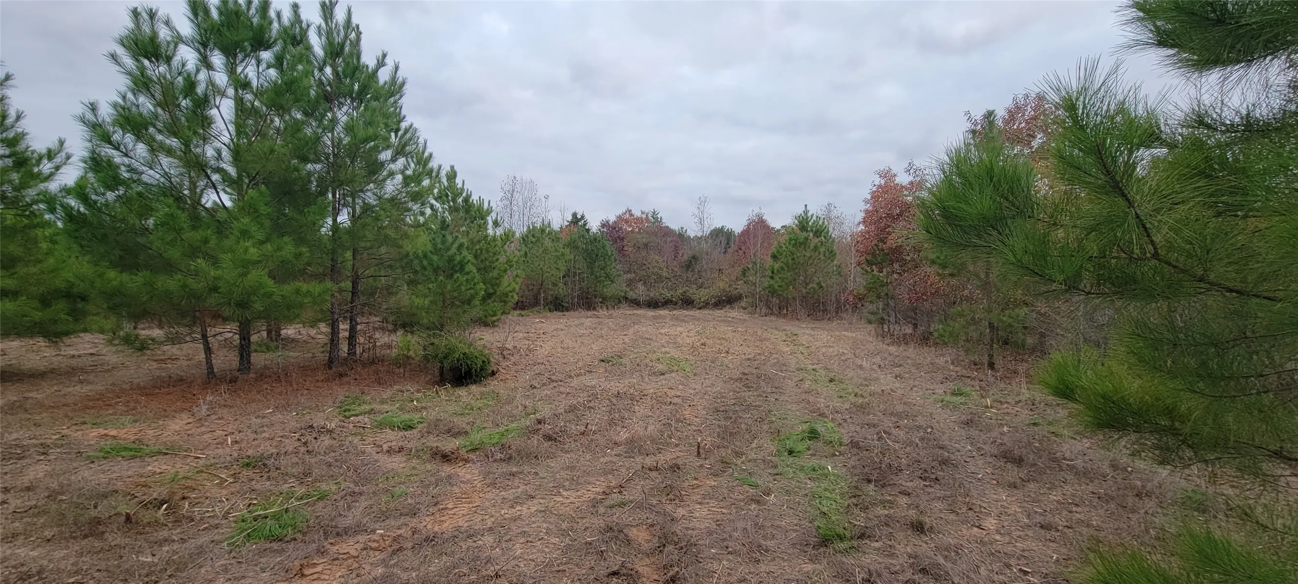 Unimproved Land For Sale in Harrison County , 0 Jewell Gooch Road, Marshall, Texas 75670, 0, 0, Garage spaces, 0 Sqft, built in 0, mls#21218033, Real Estate Agent in Marshall, Homes For Sale in Harrison county, Homes For Sale in Marshall, Realtor in Marshall Texas, Real Estate Brokerage Independent Realty Texas, Luminita Cordes Realtor