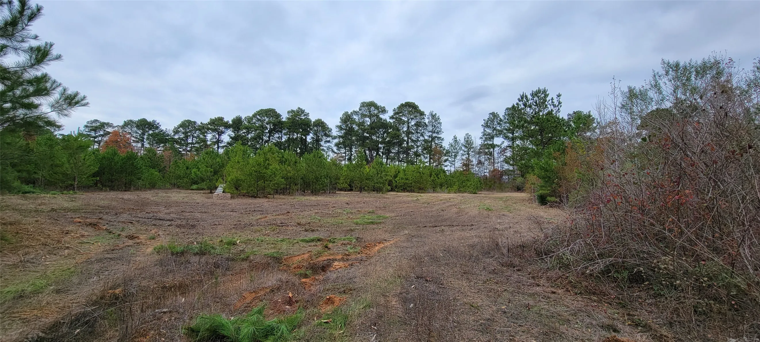 Unimproved Land For Sale in Harrison County , 0 Jewell Gooch Road, Marshall, Texas 75670, 0, 0, Garage spaces, 0 Sqft, built in 0, mls#21218033, Real Estate Agent in Marshall, Homes For Sale in Harrison county, Homes For Sale in Marshall, Realtor in Marshall Texas, Real Estate Brokerage Independent Realty Texas, Luminita Cordes Realtor